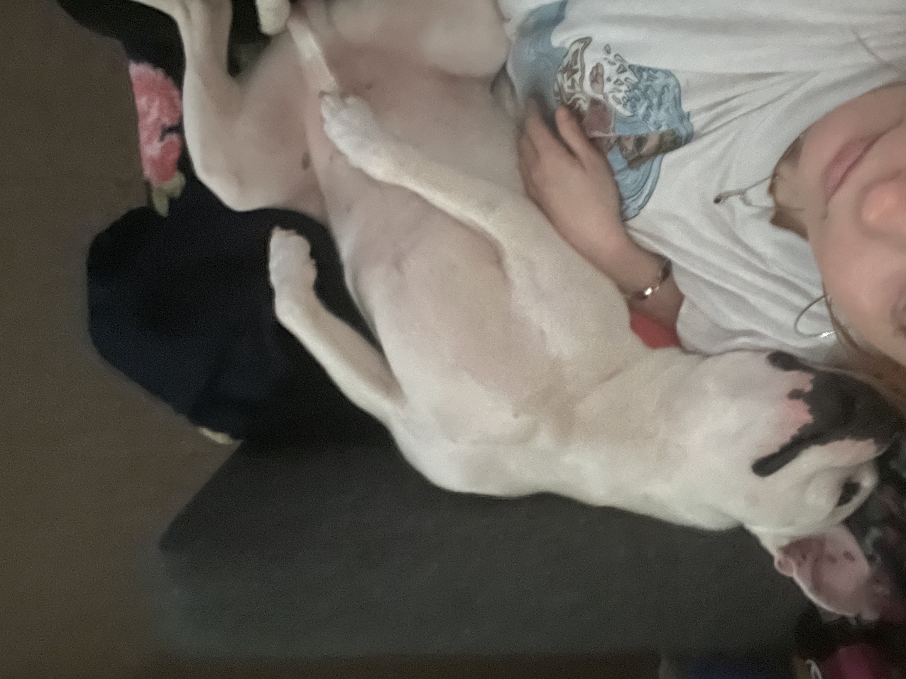 image-8