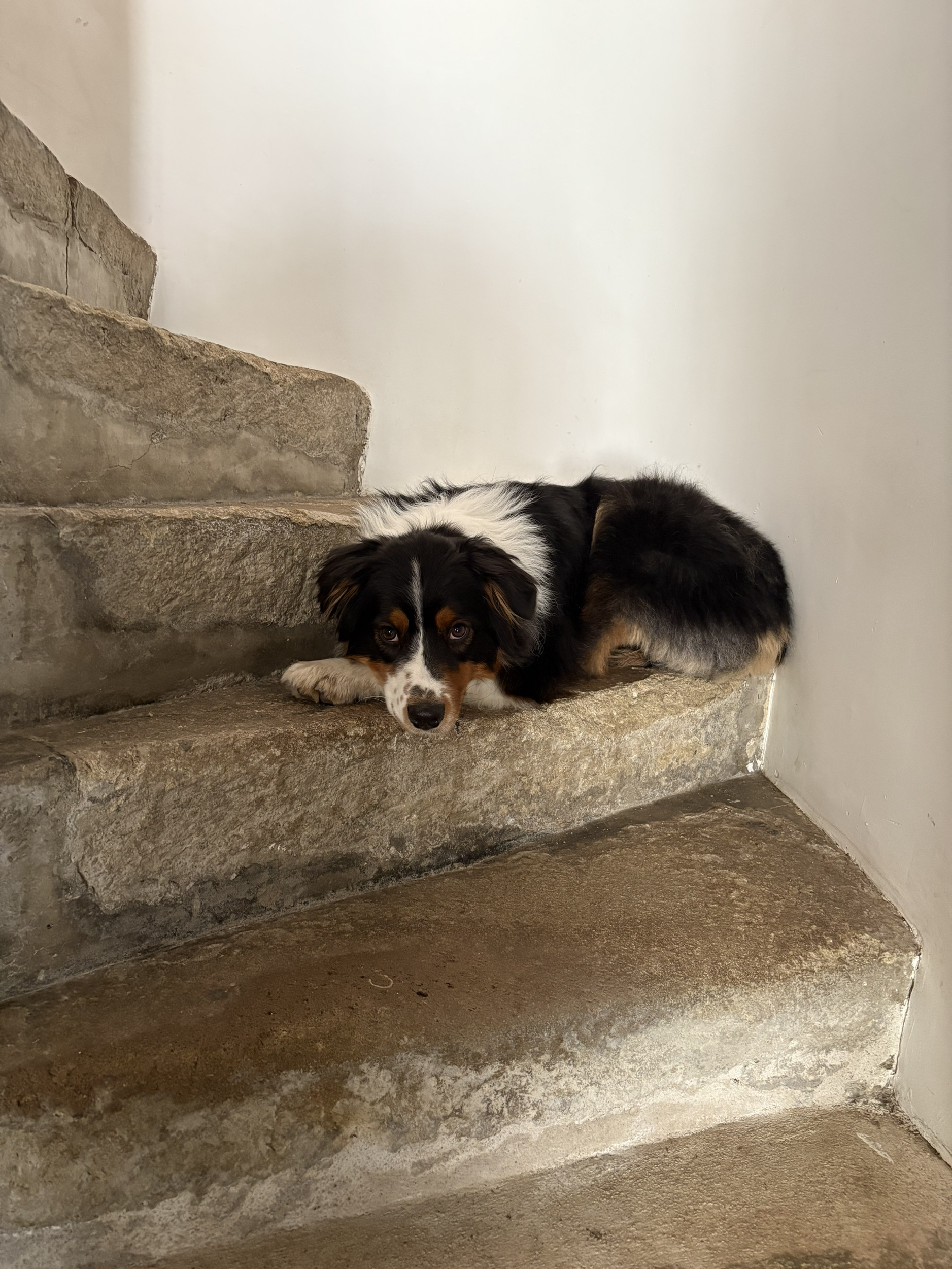 image-11