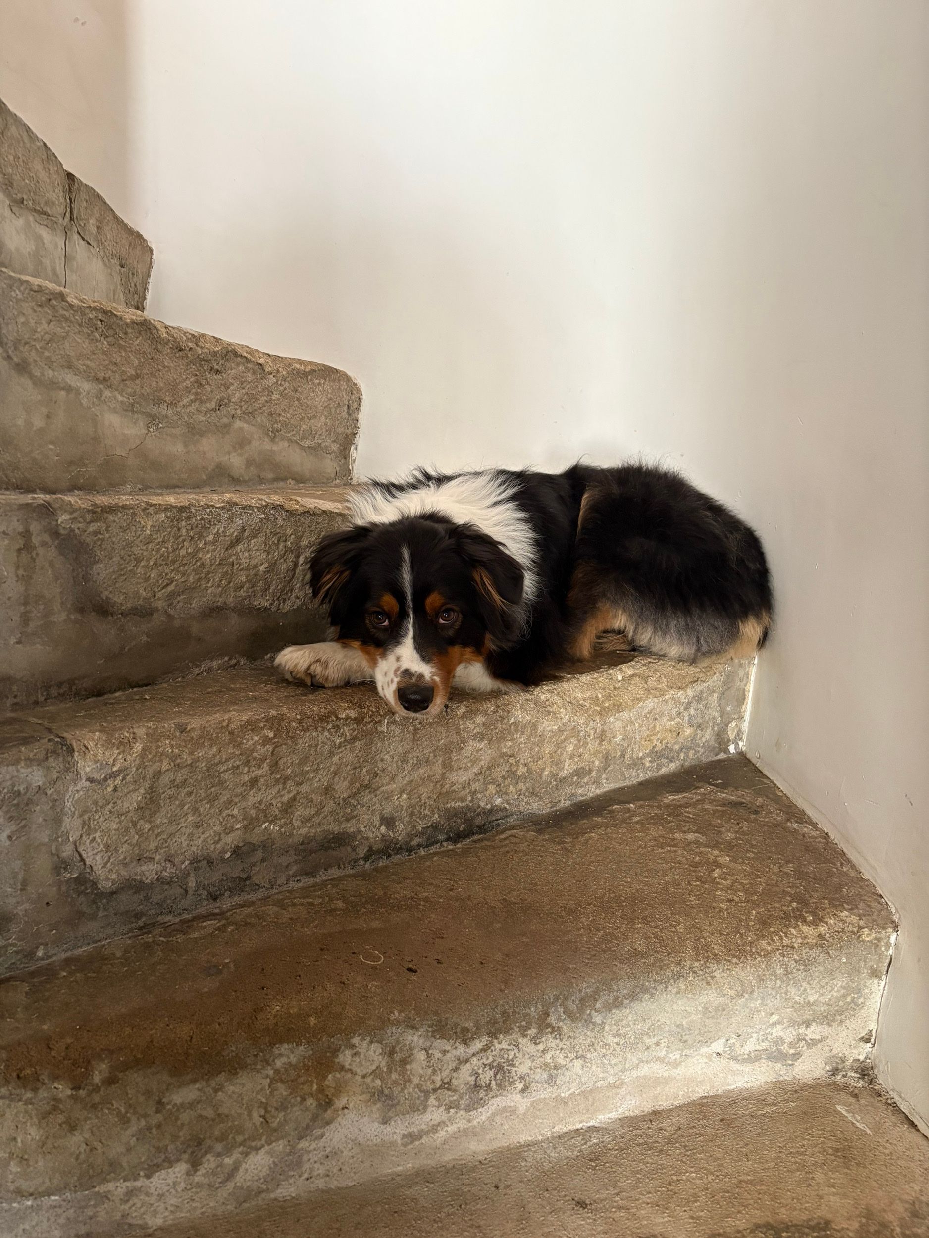 image-11