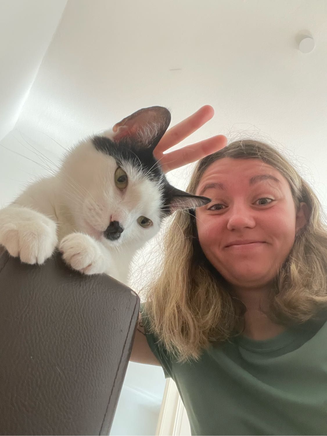 image-8