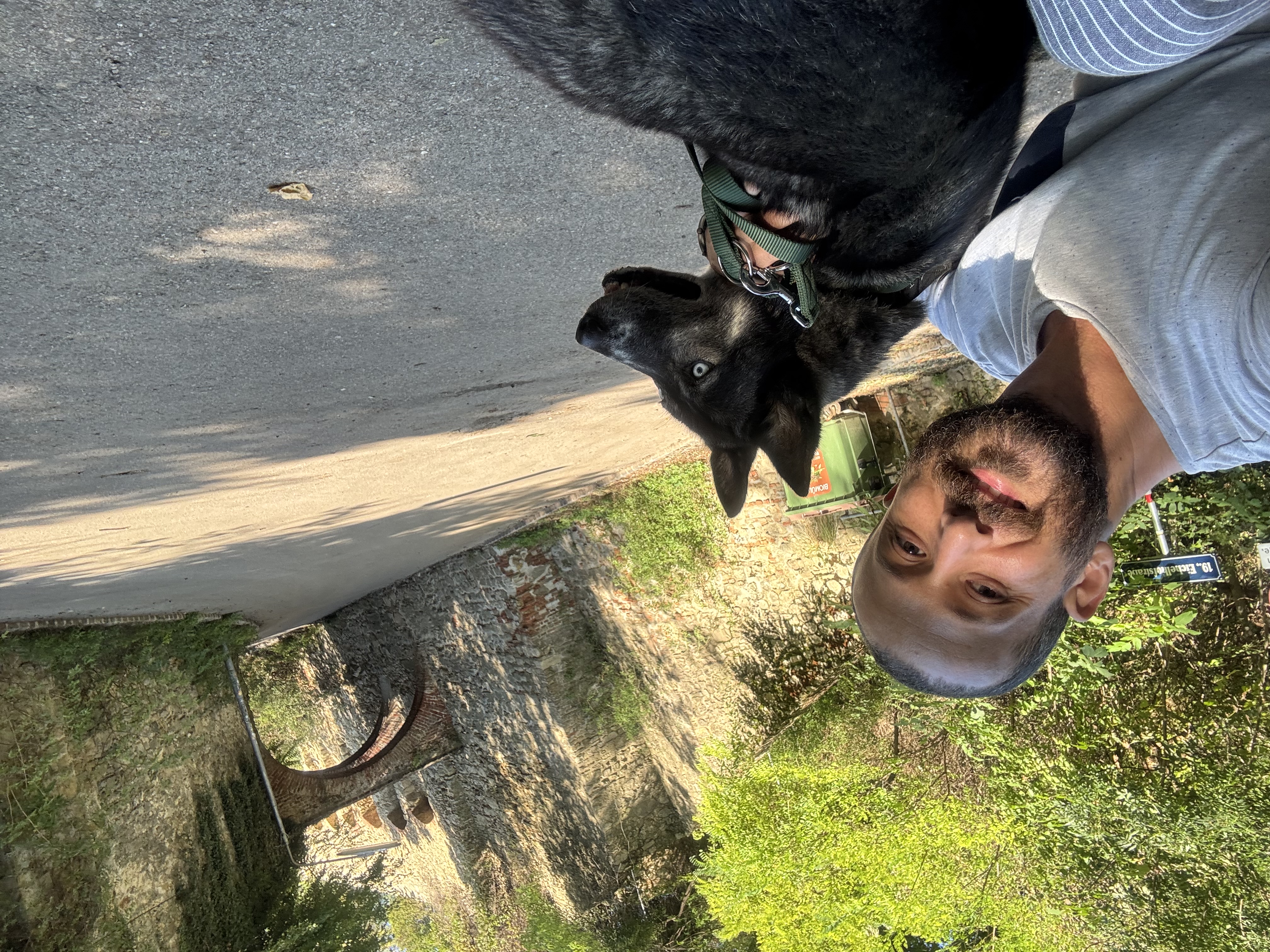 image-14