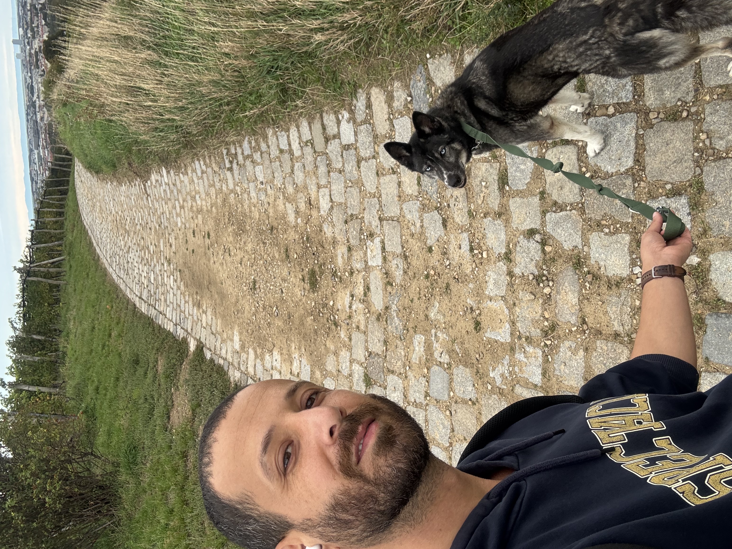 image-6