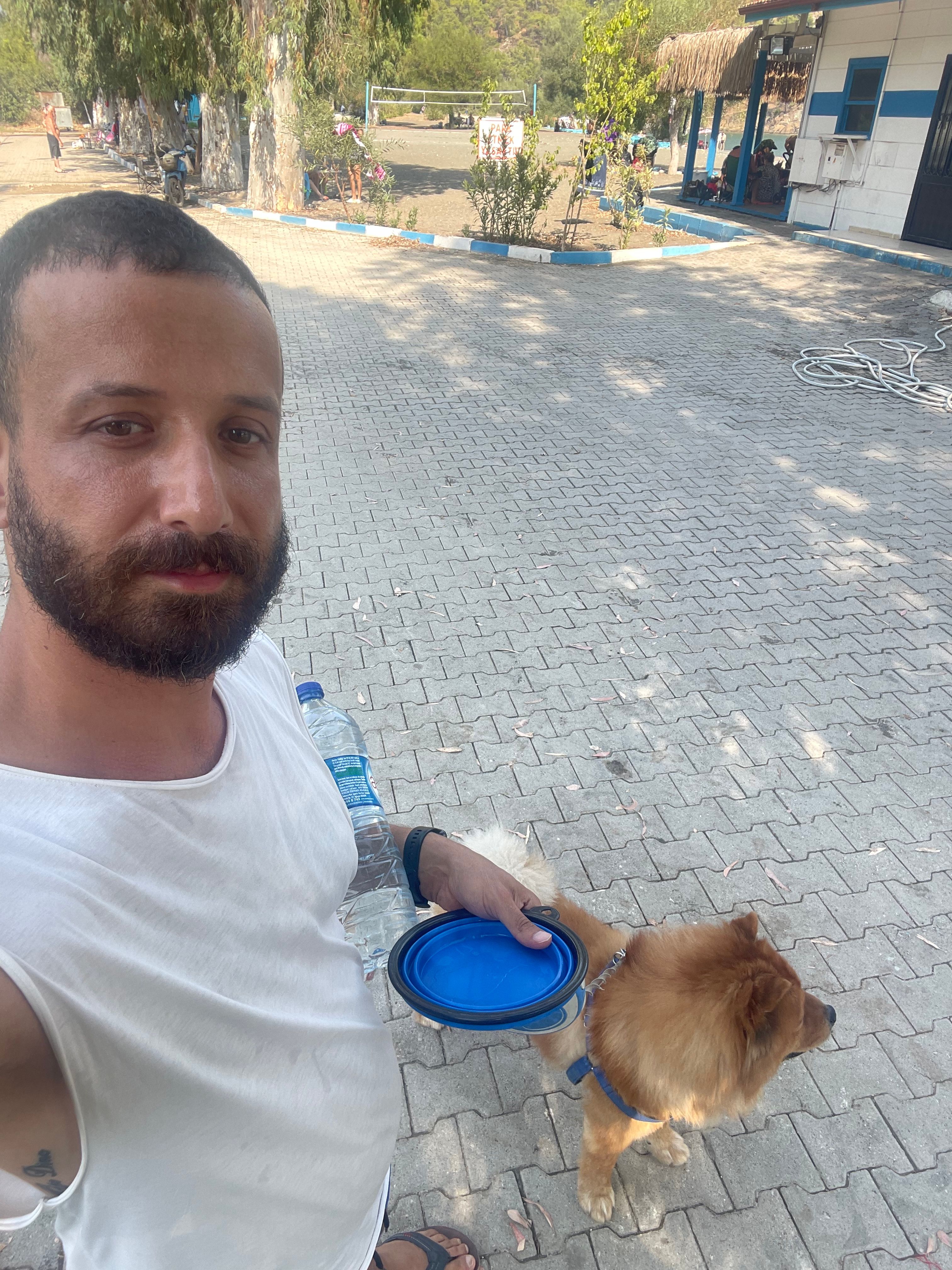 image-15