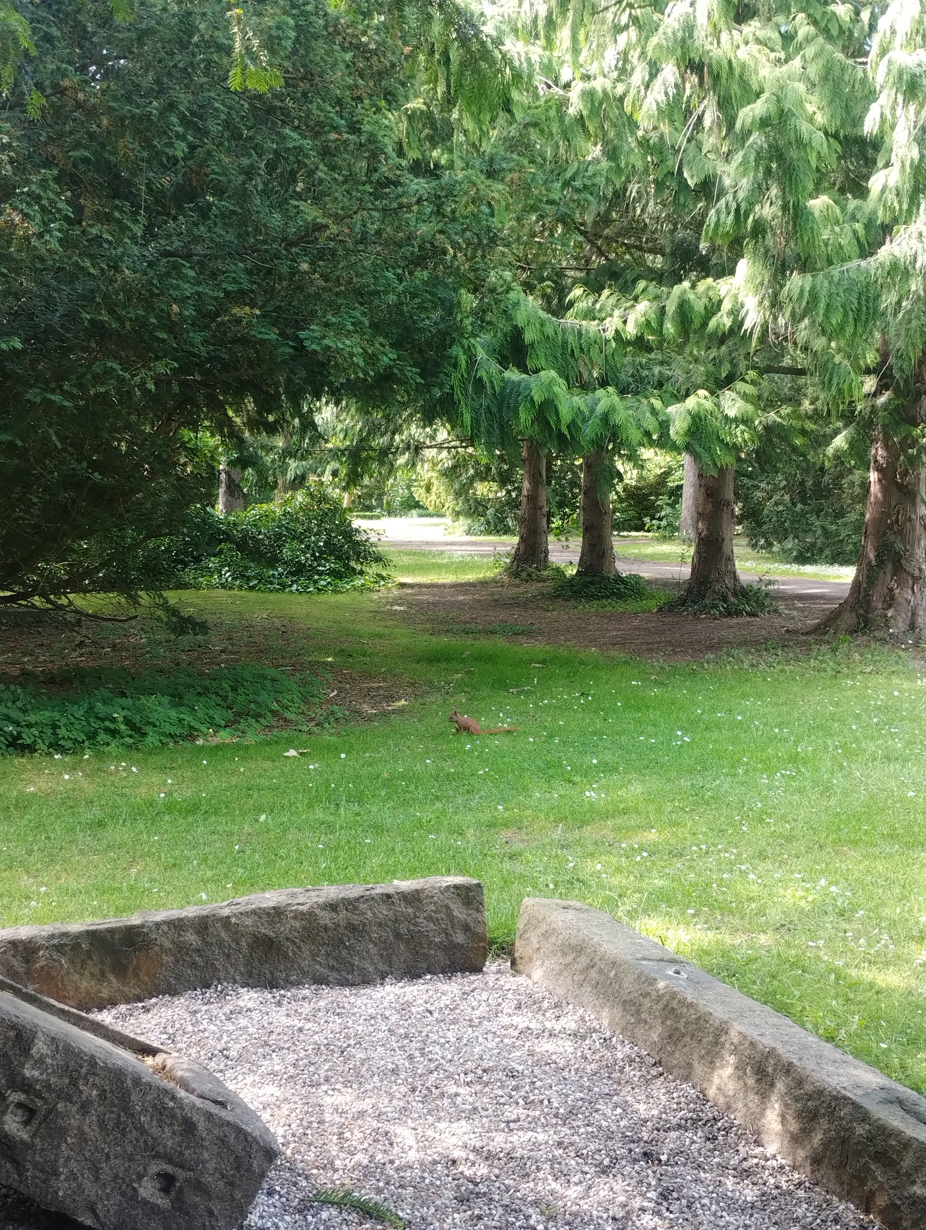 image-20