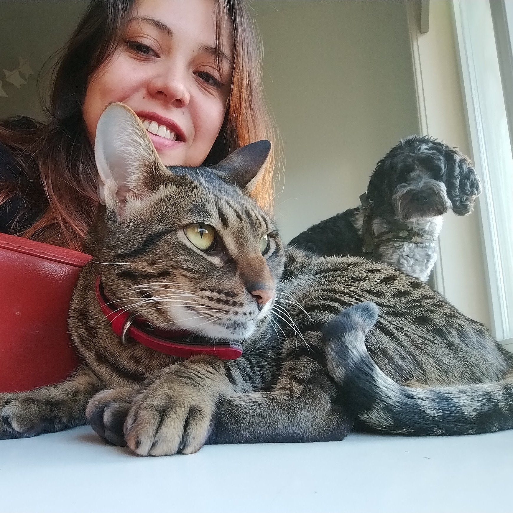 vanina