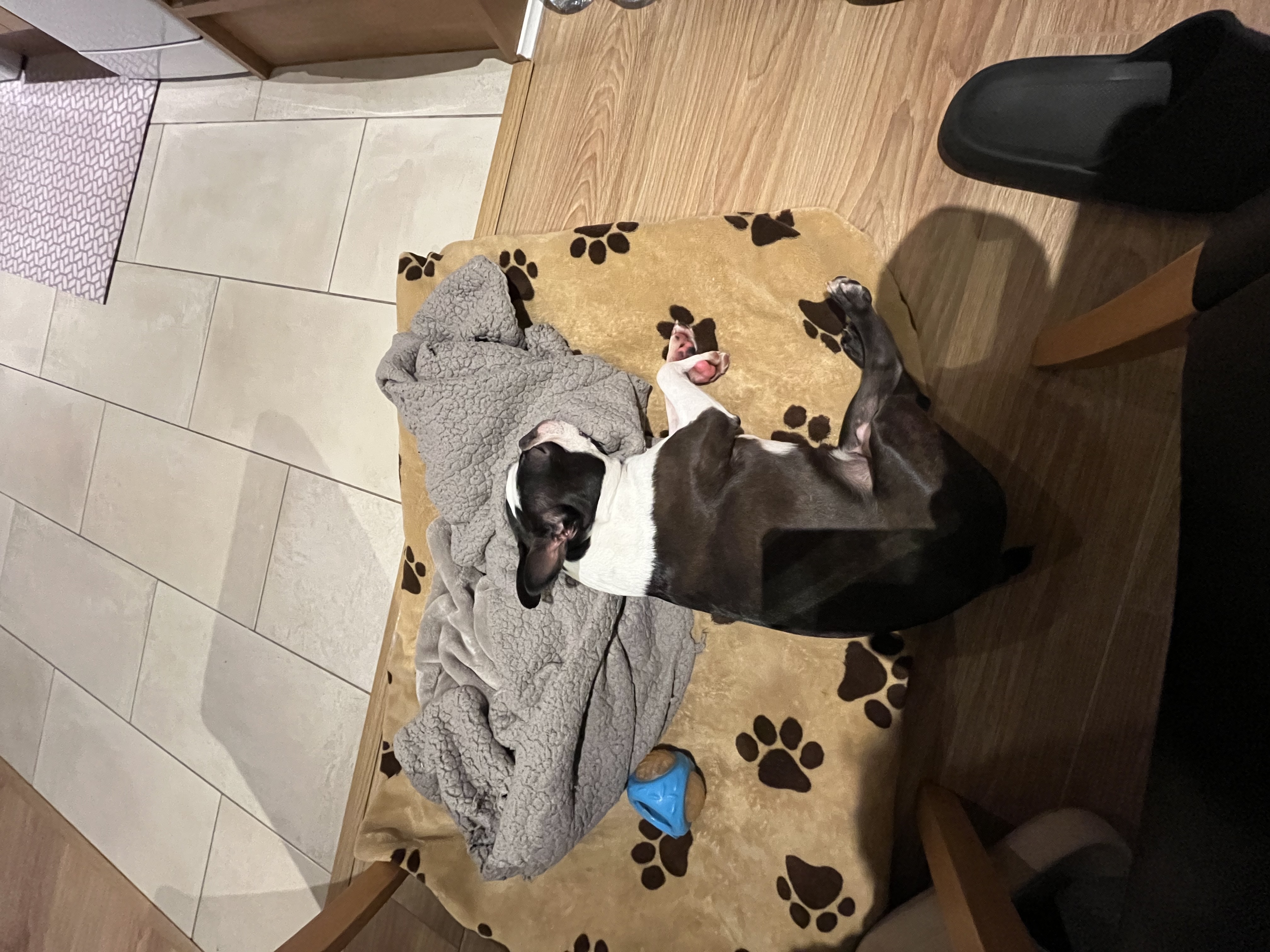 image-12