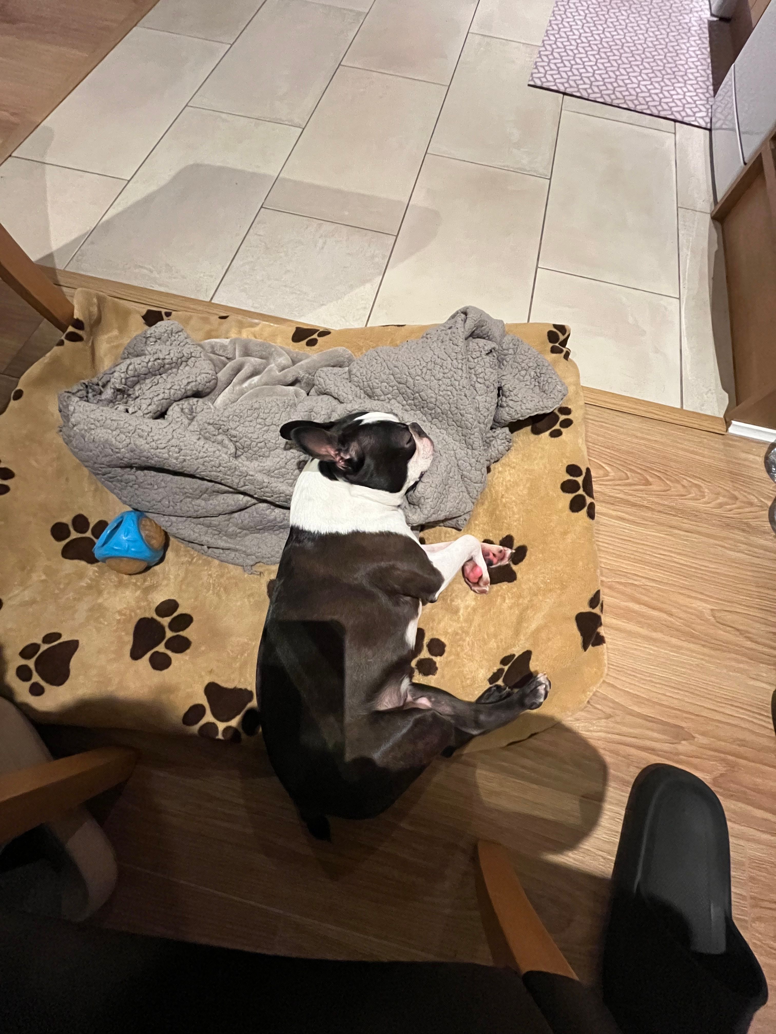 image-12