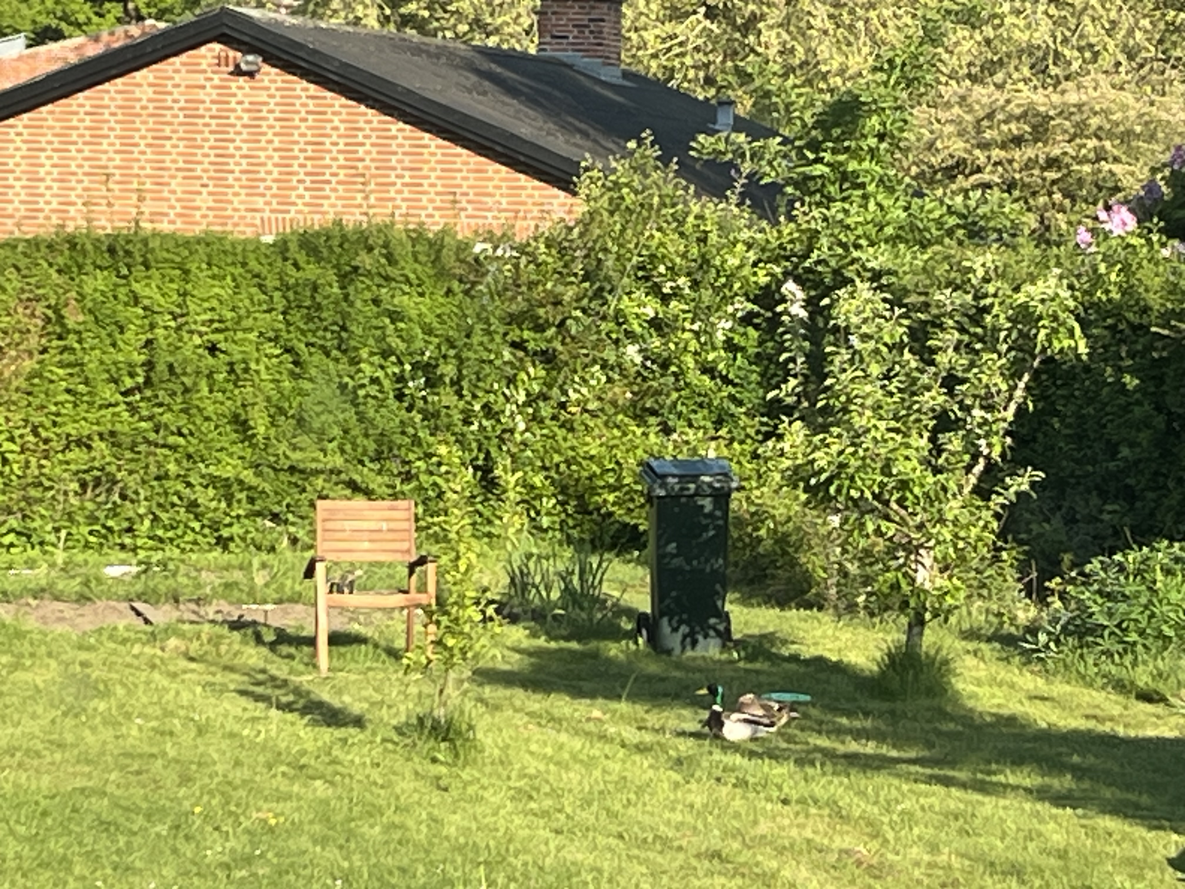 image-11