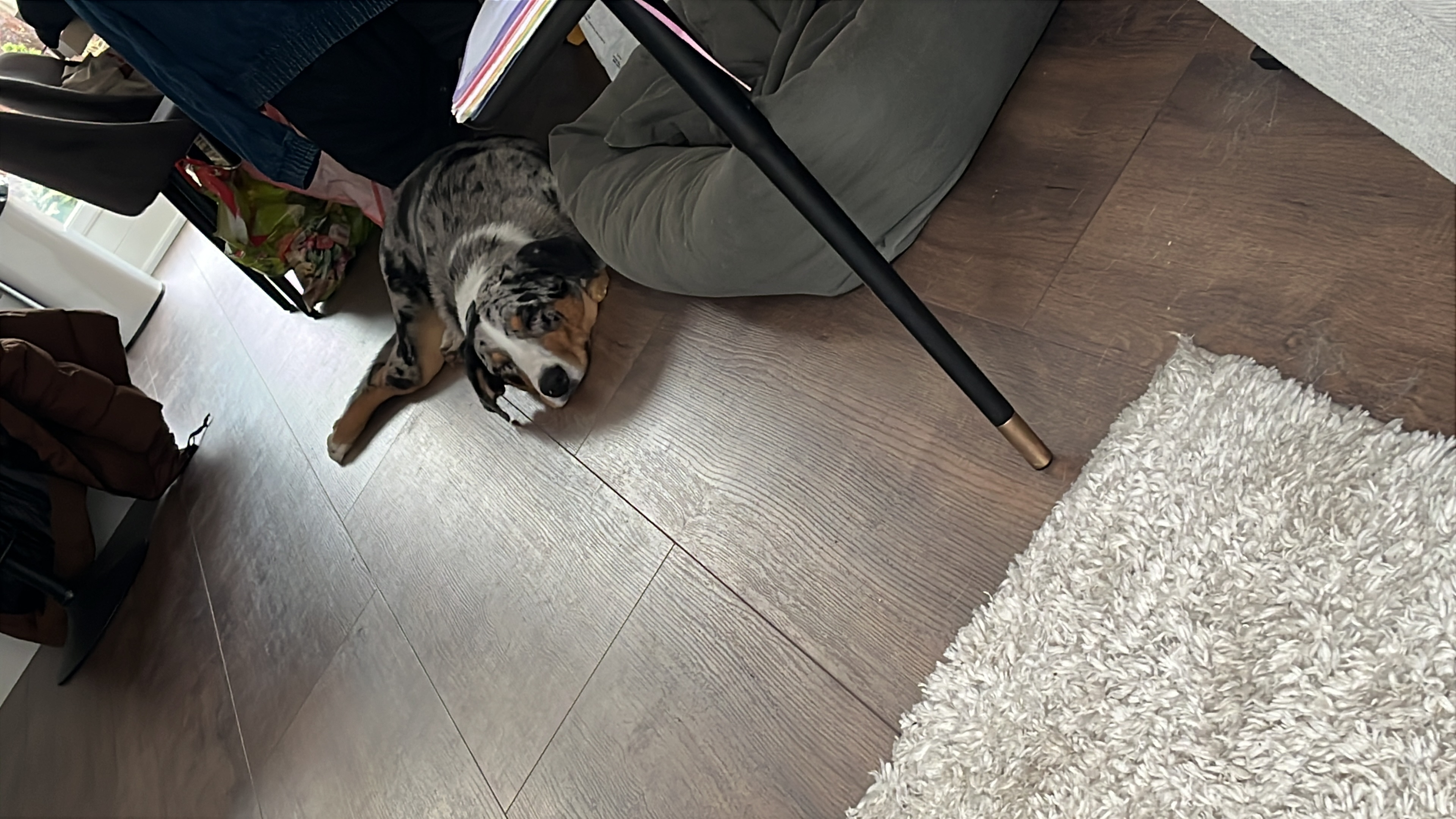 image-6