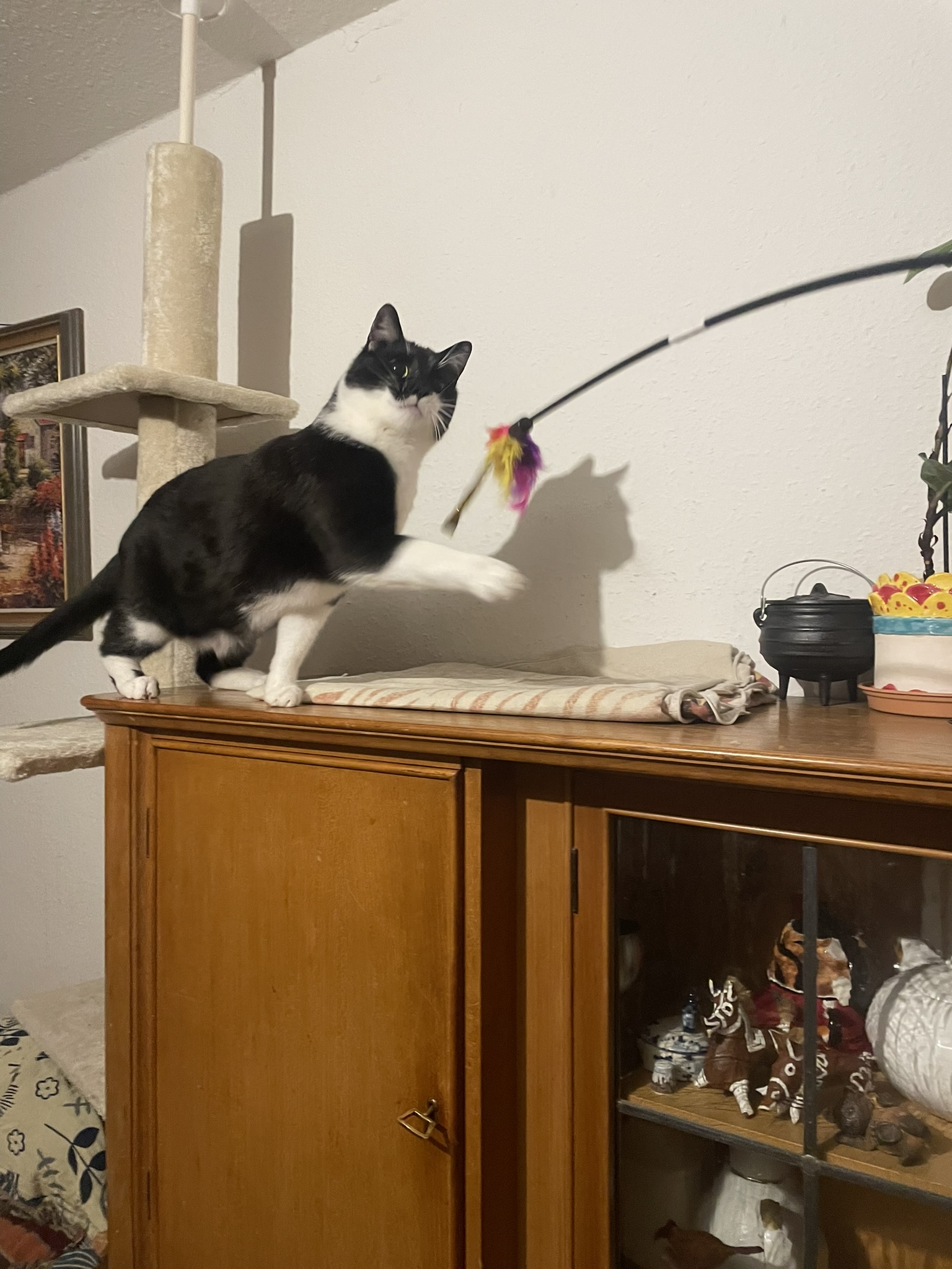 image-11