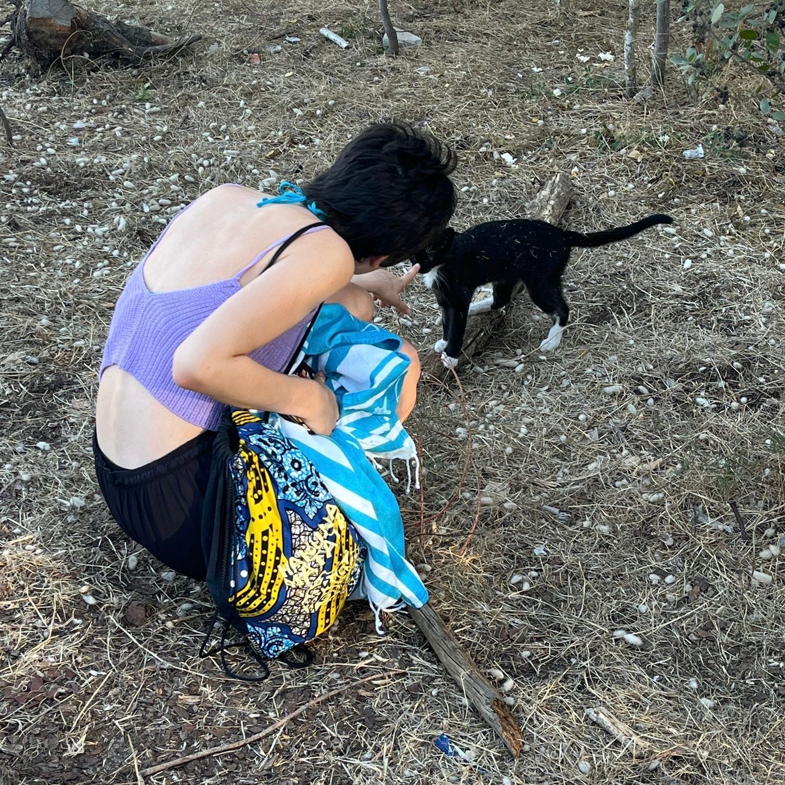 image-8