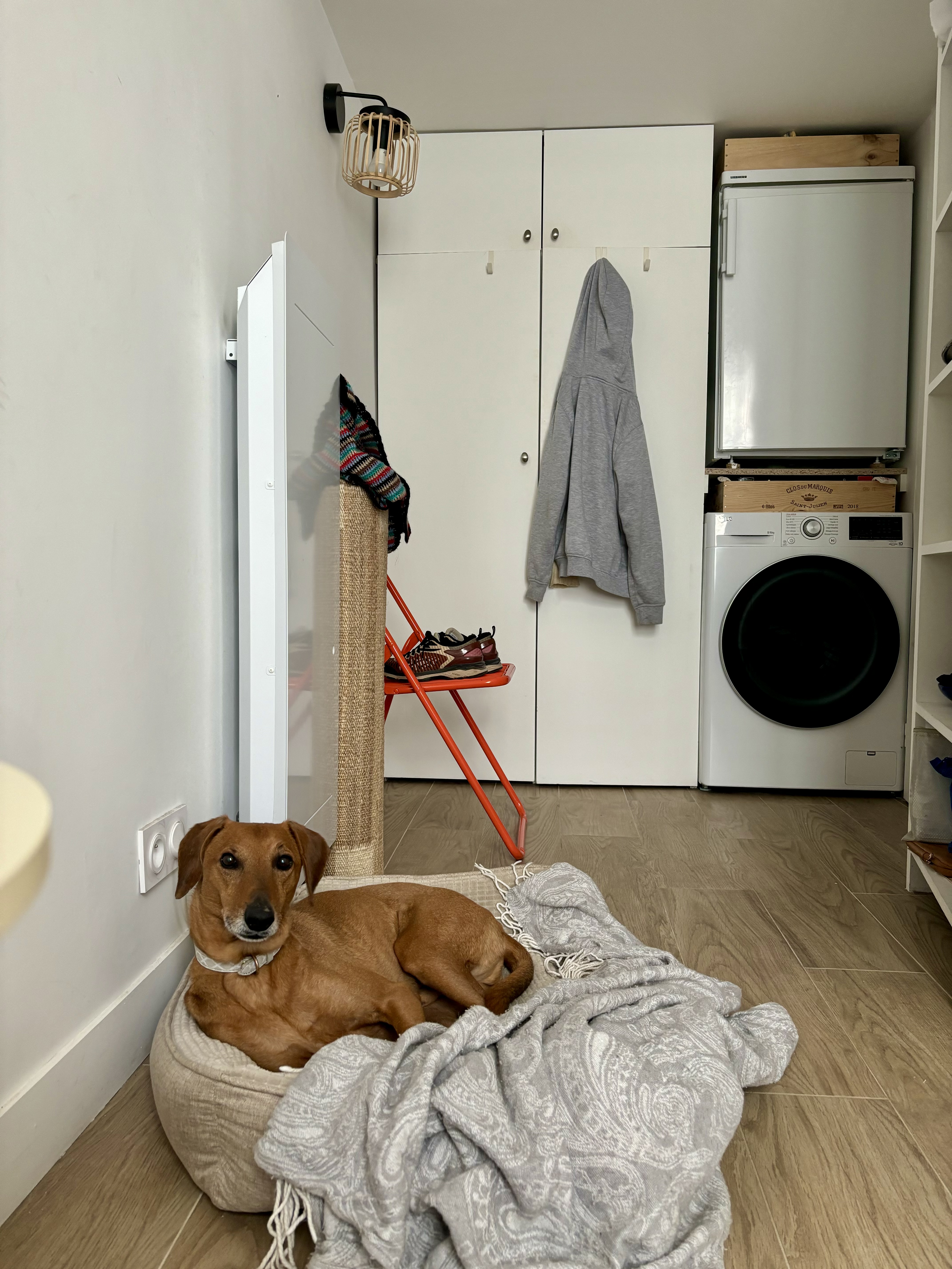 image-13