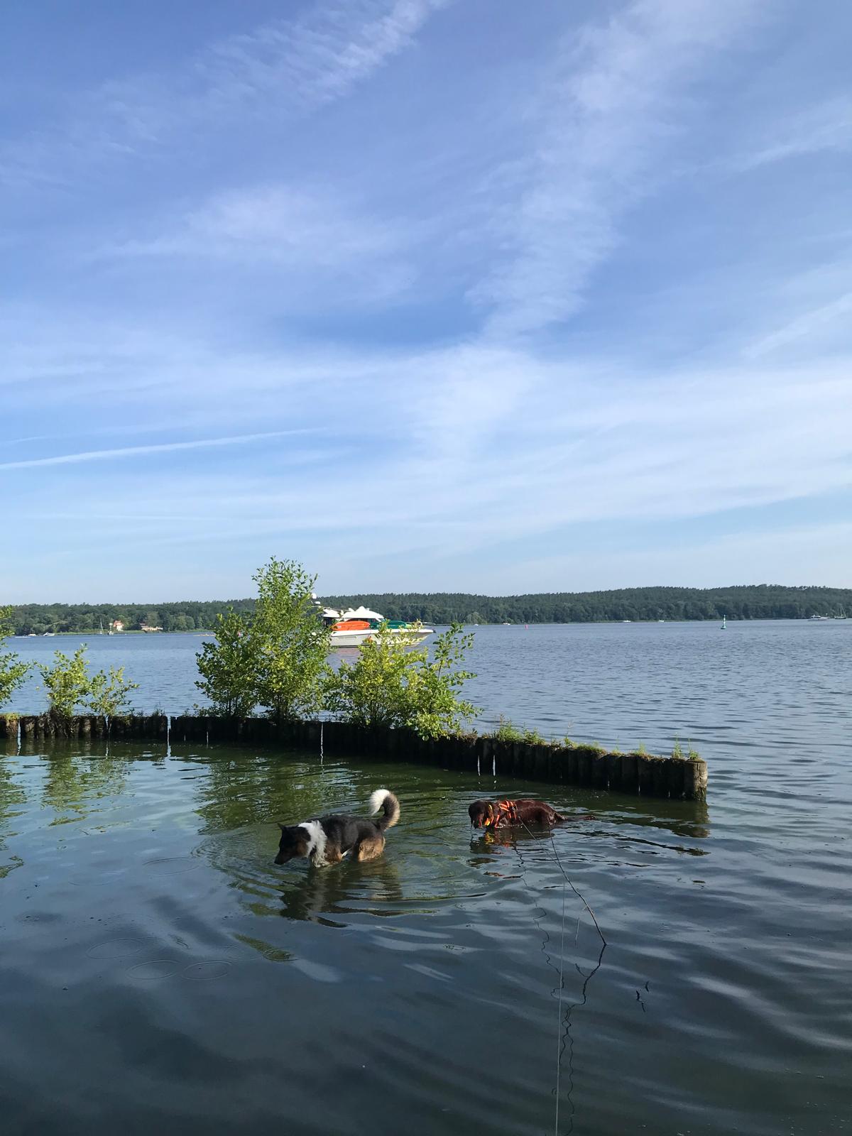 image-28