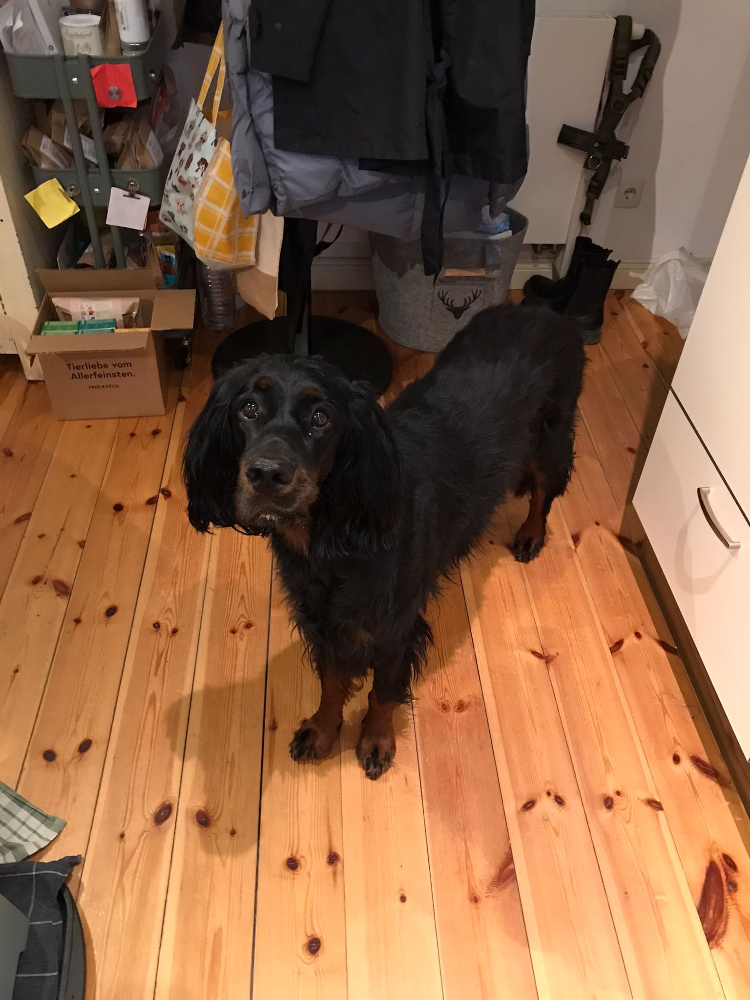 image-61