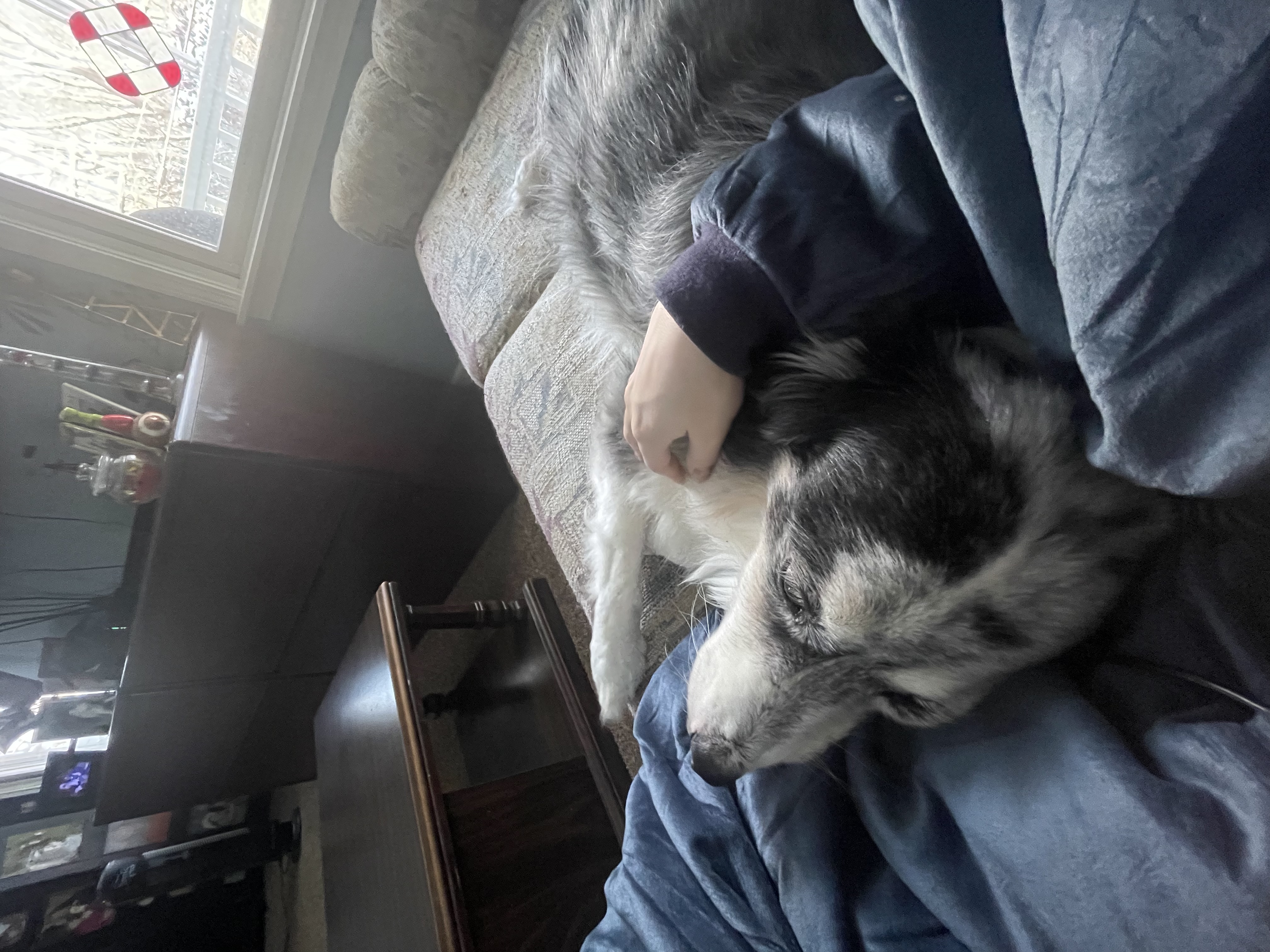 image-6