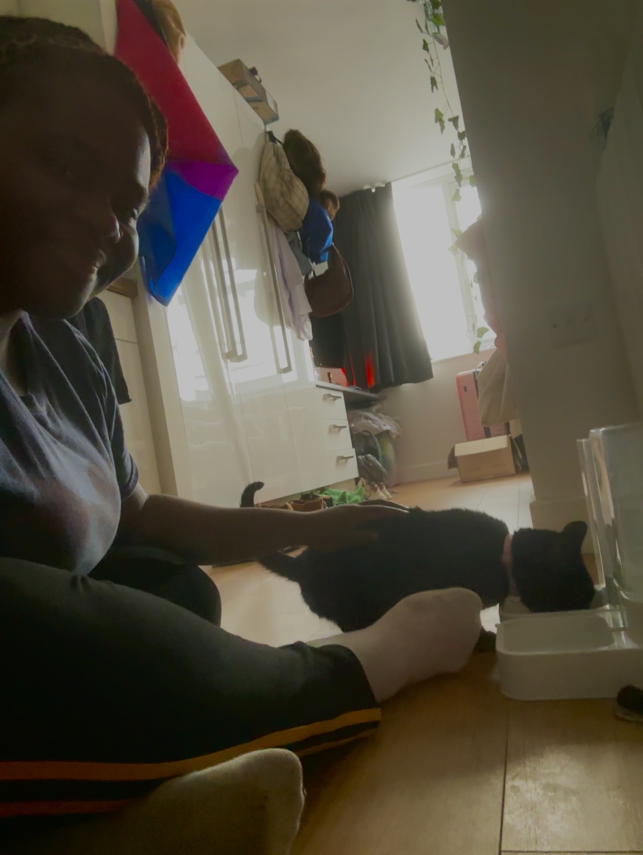image-7