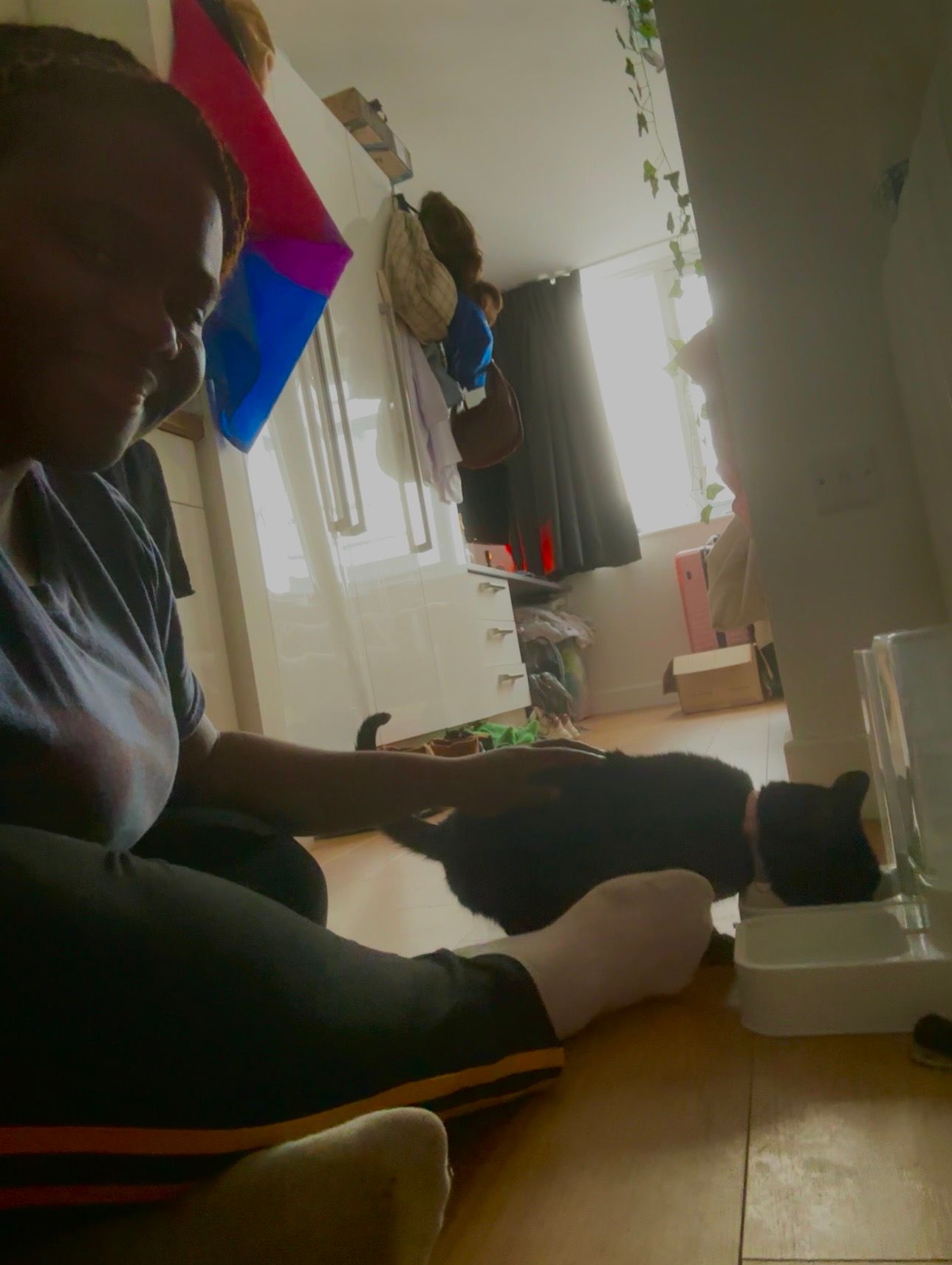 image-7