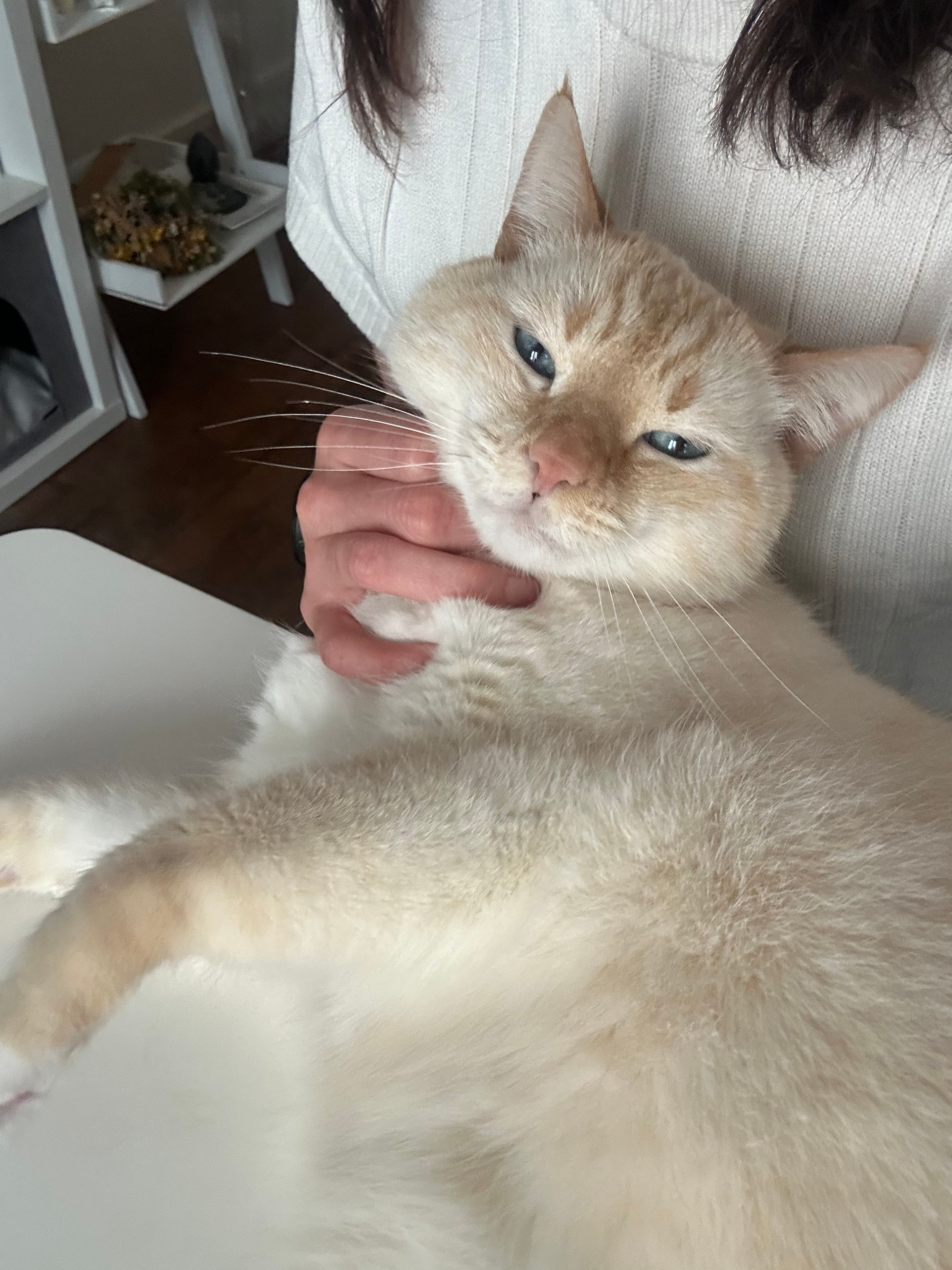image-6