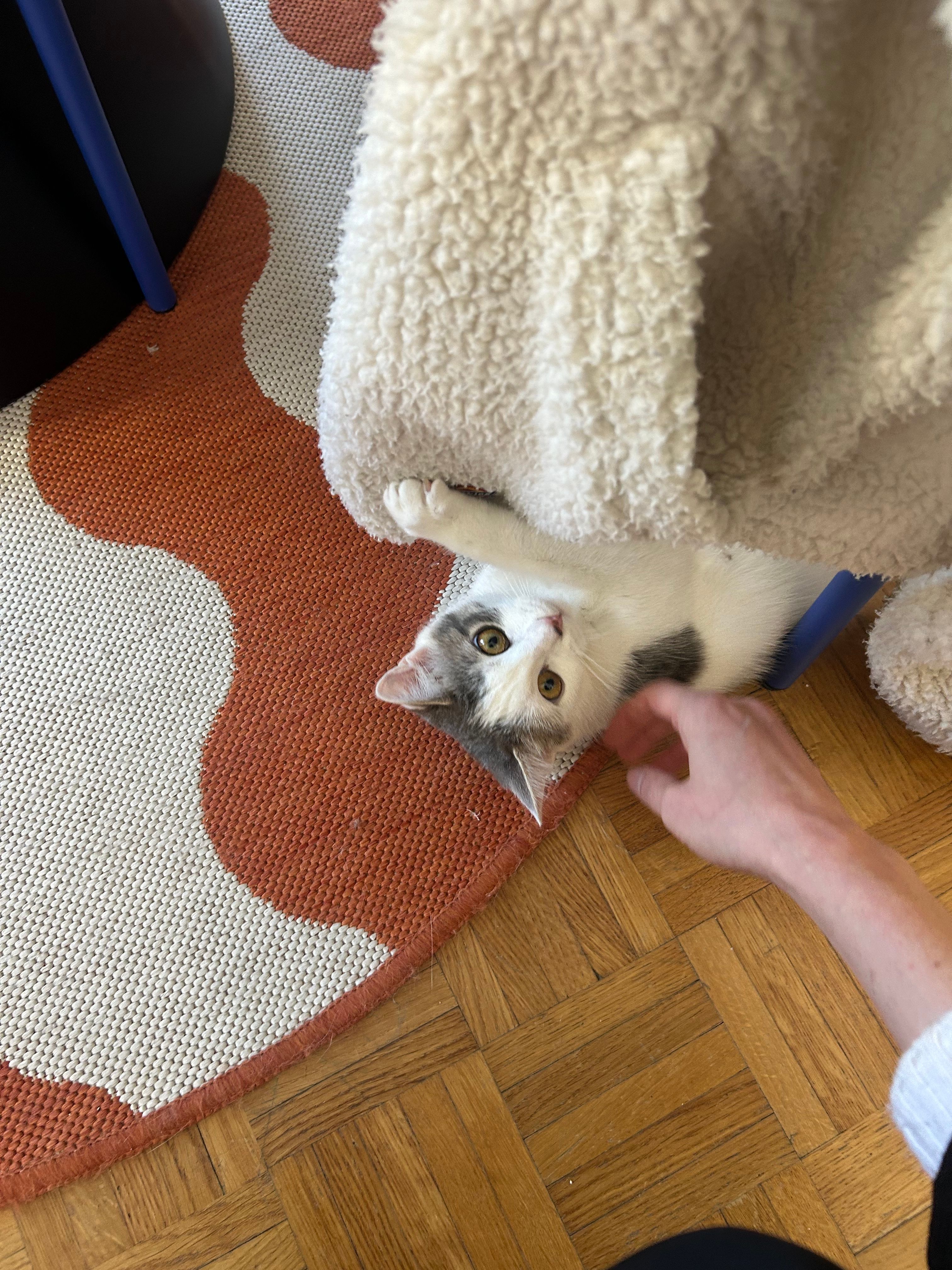 image-11