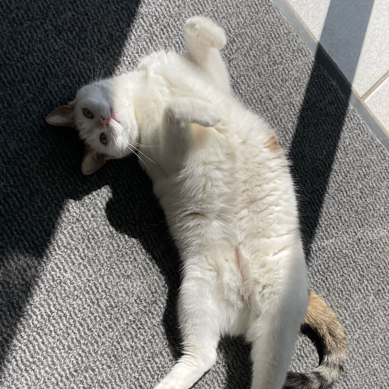 Philibert