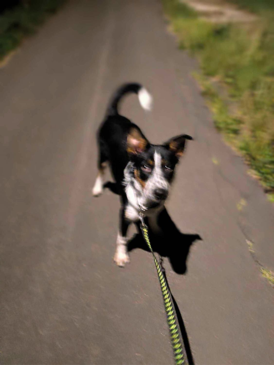 image-8