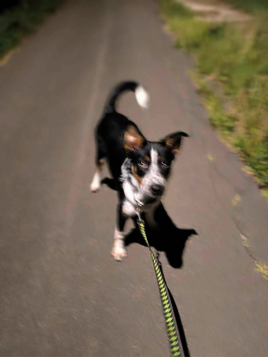 image-8