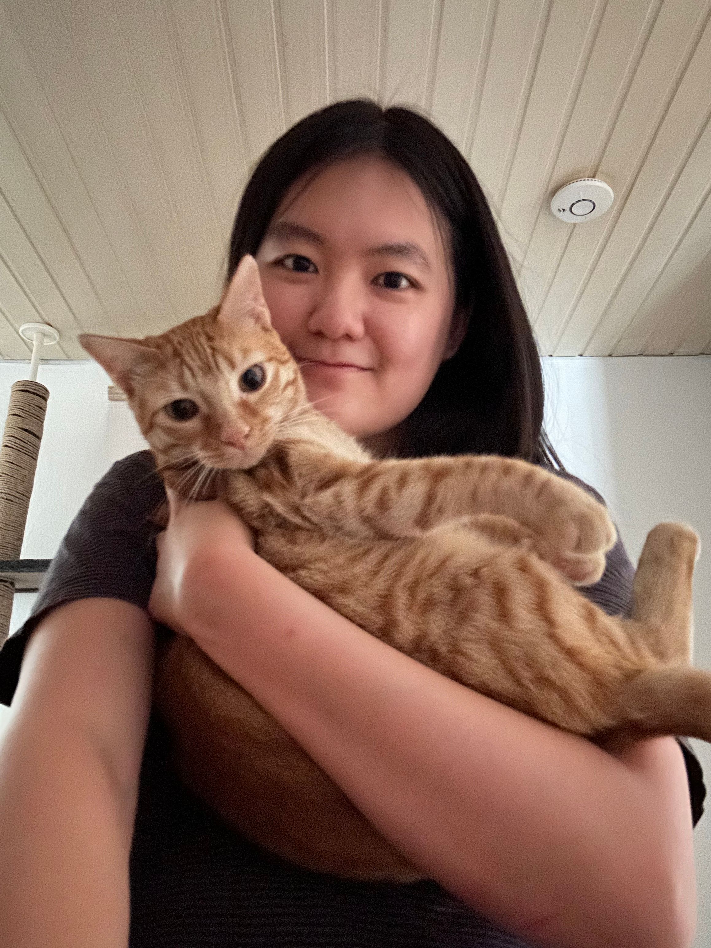 image-0