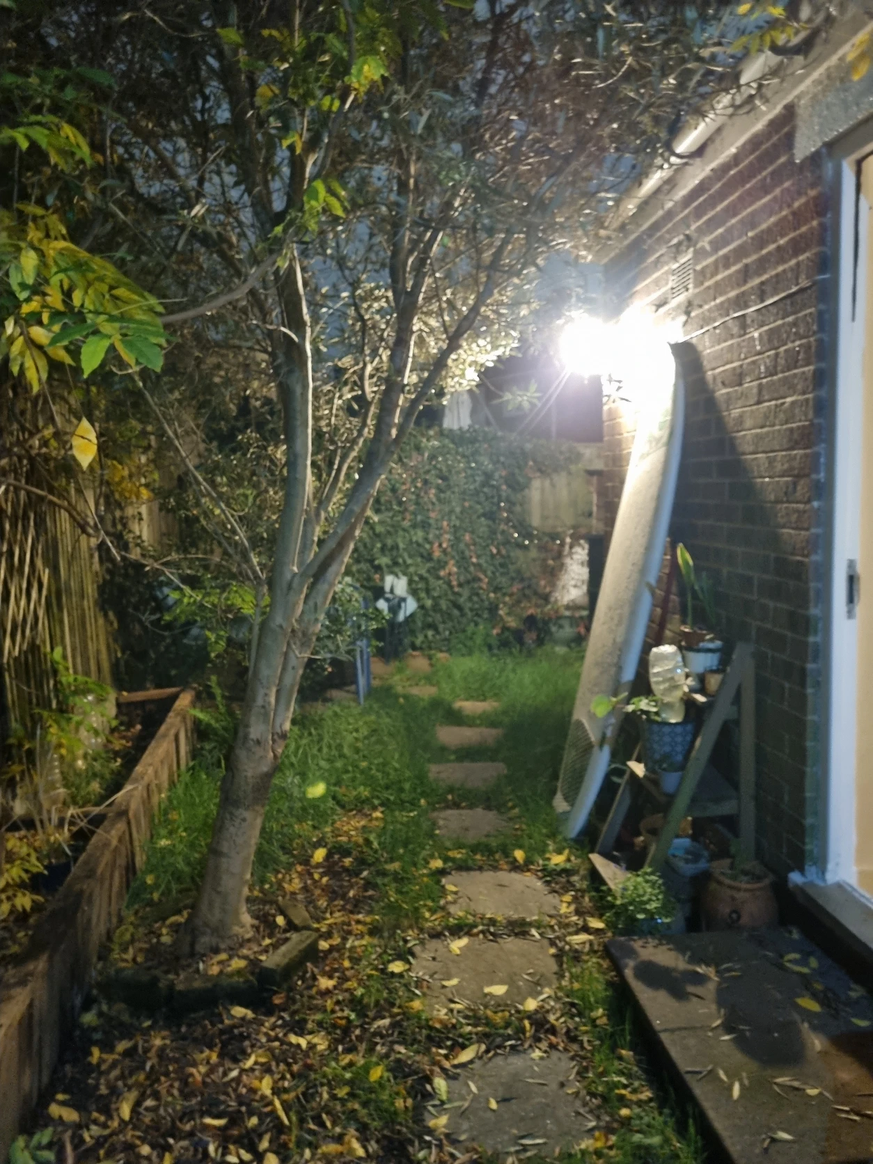 image-10