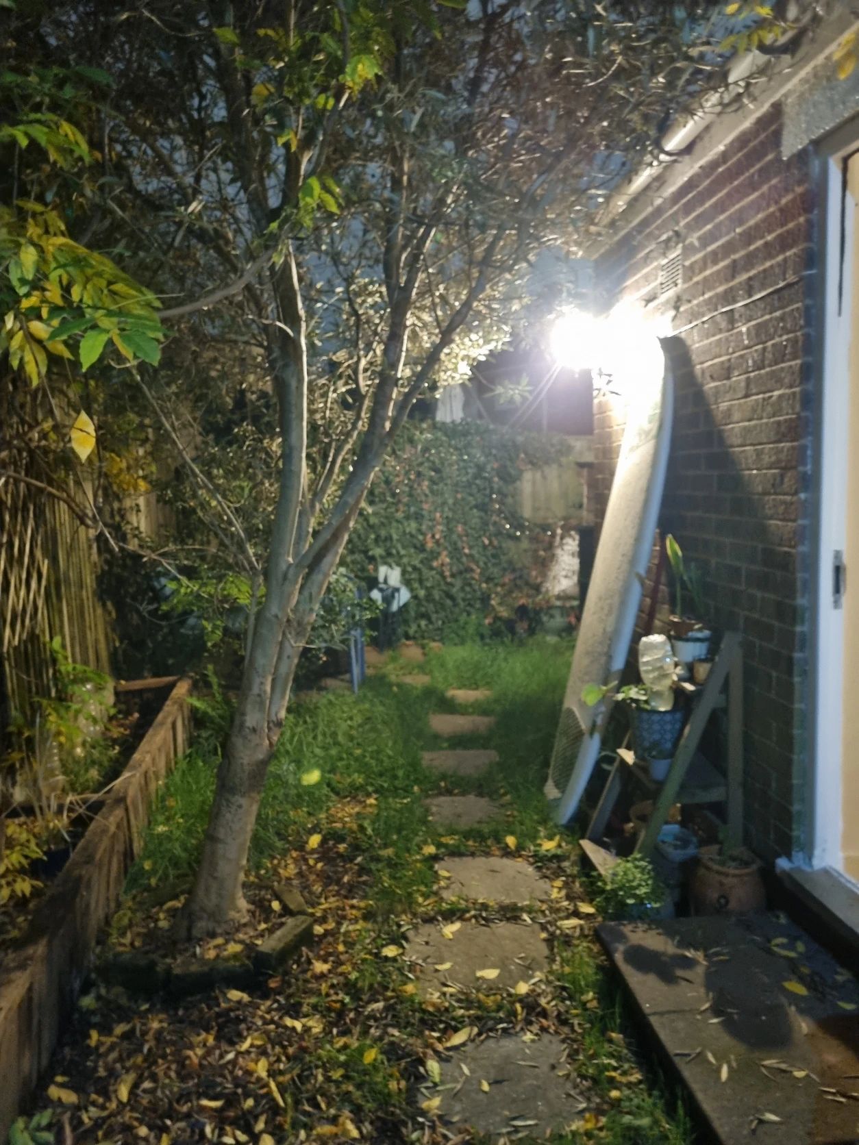 image-10