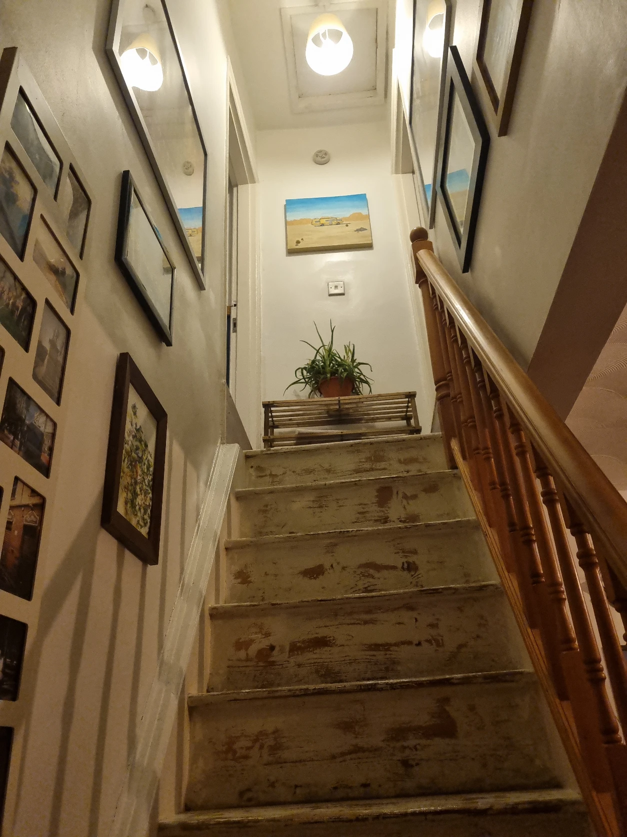image-7