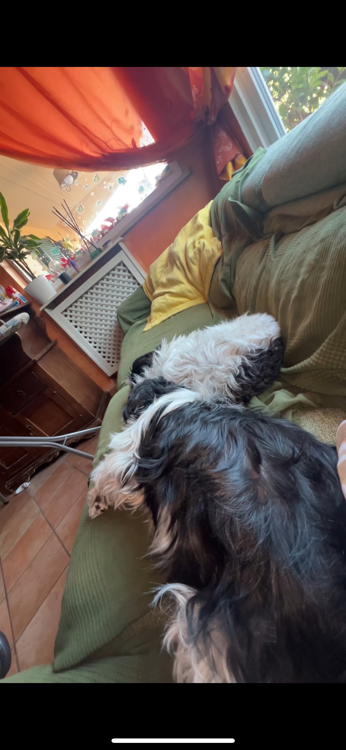 image-7