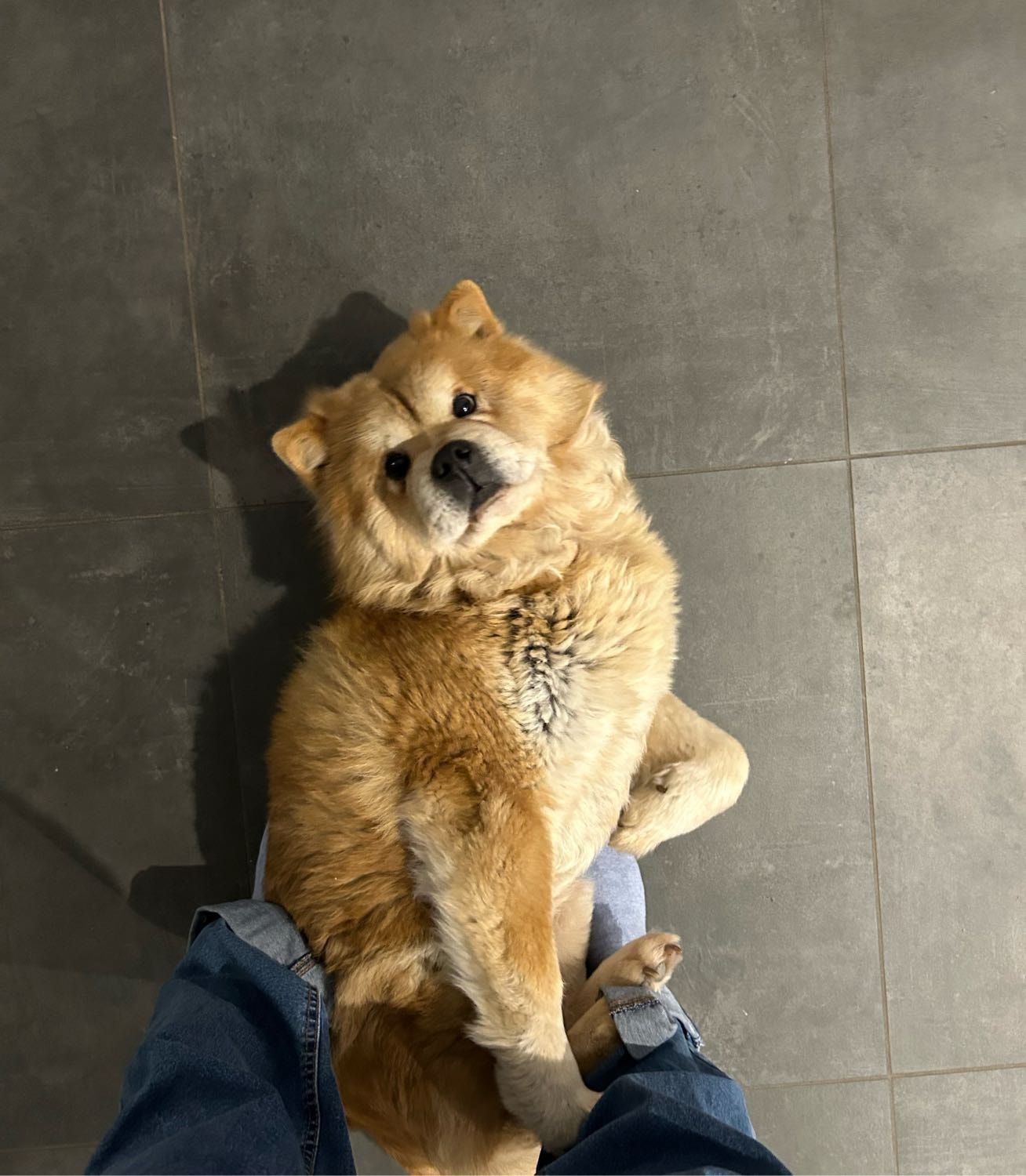 image-6