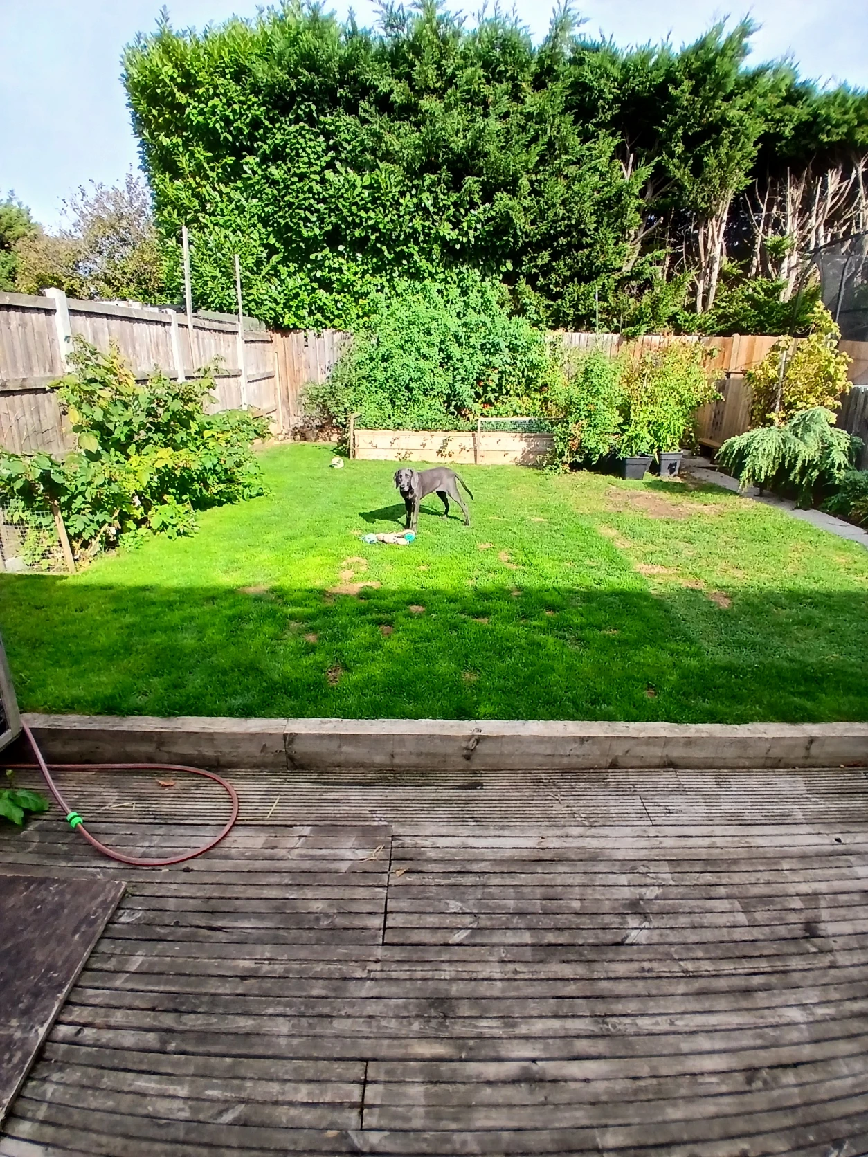 image-9