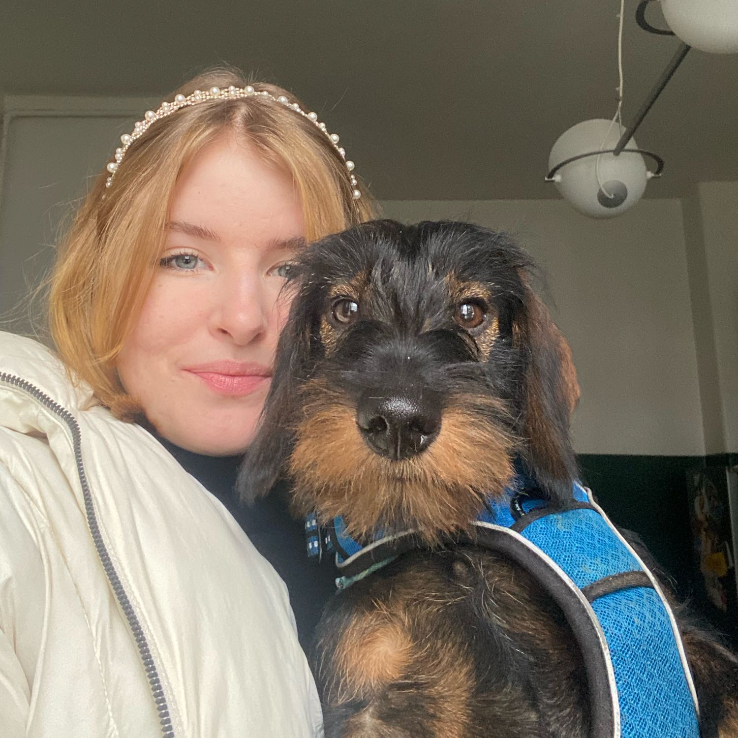 Svea