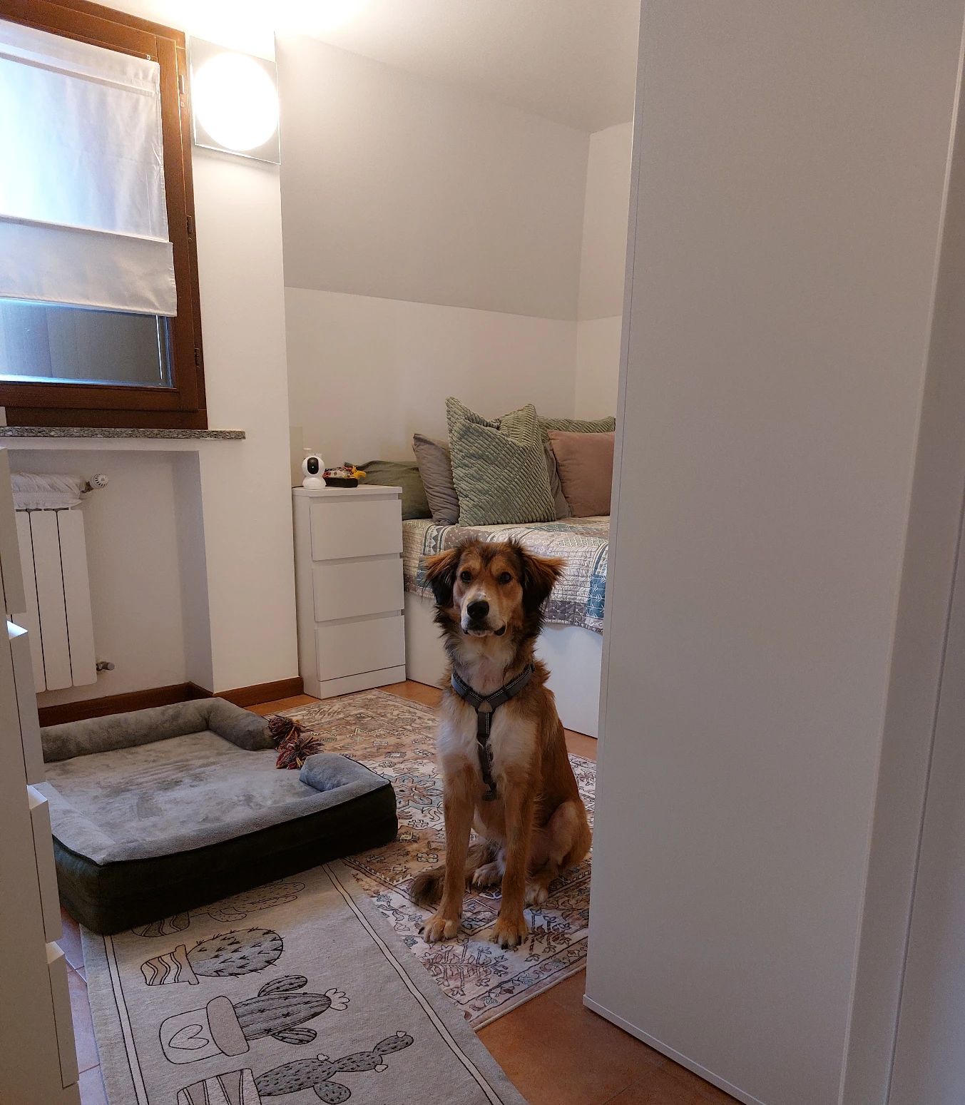image-12