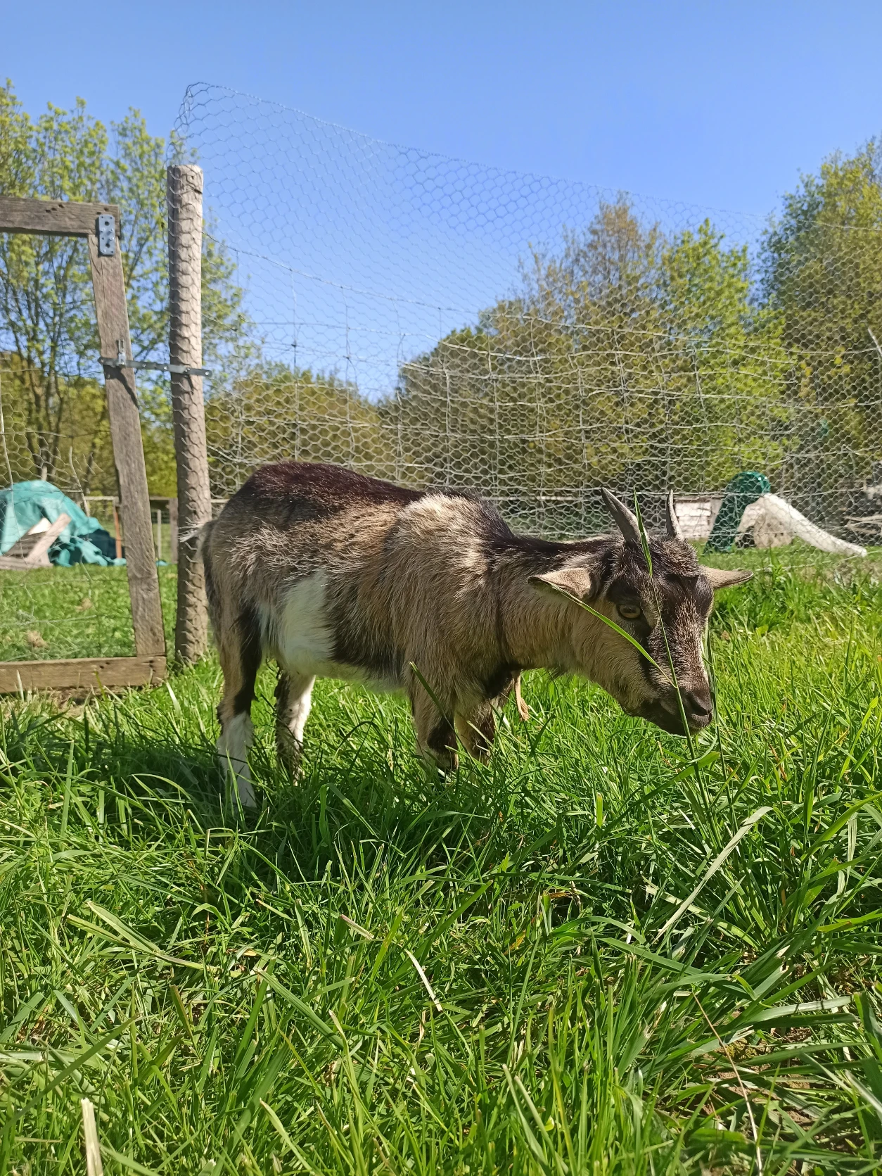 image-5