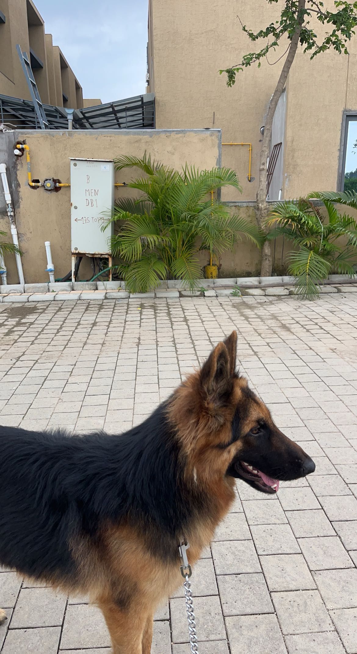 image-6
