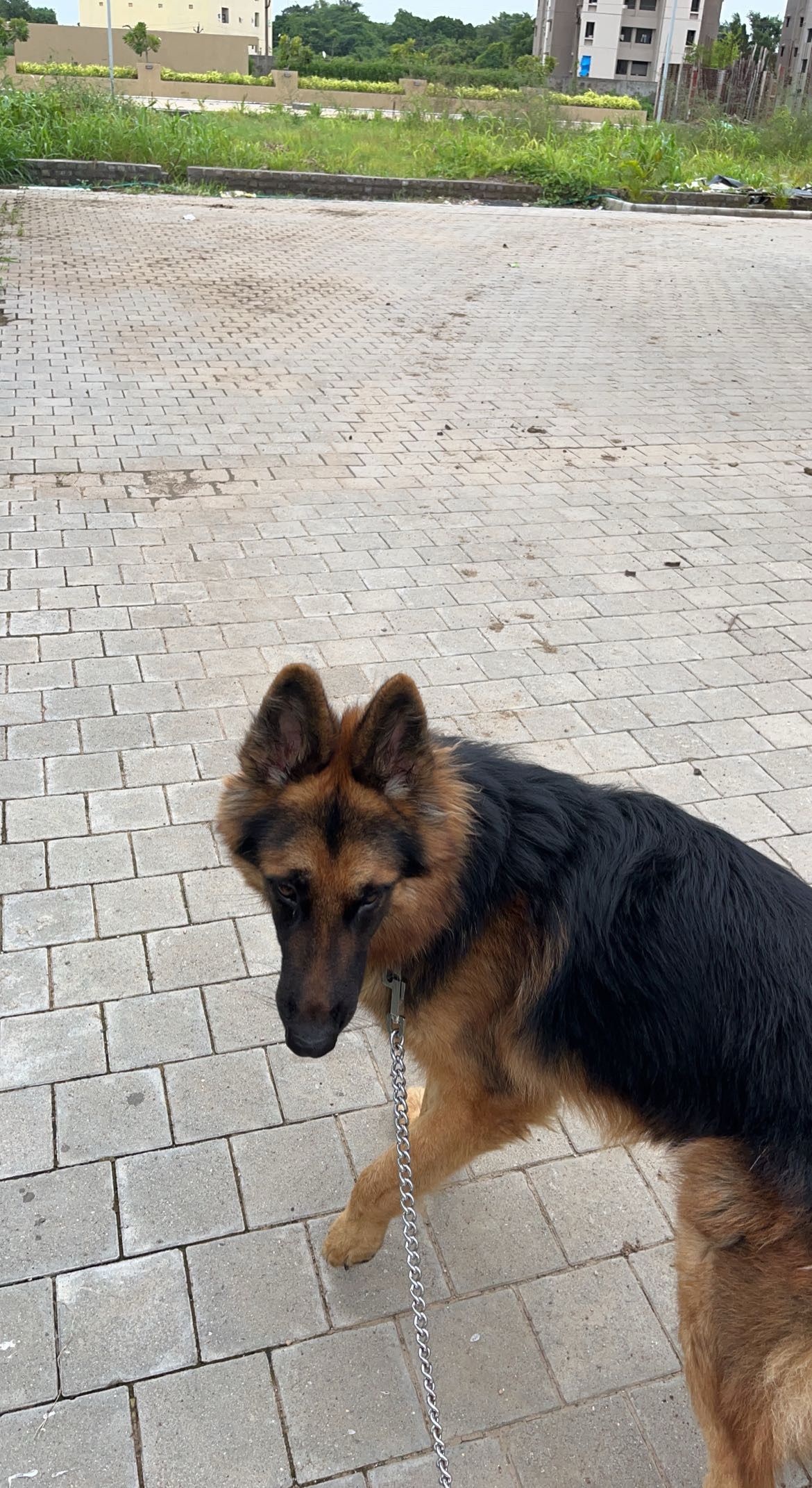 image-8
