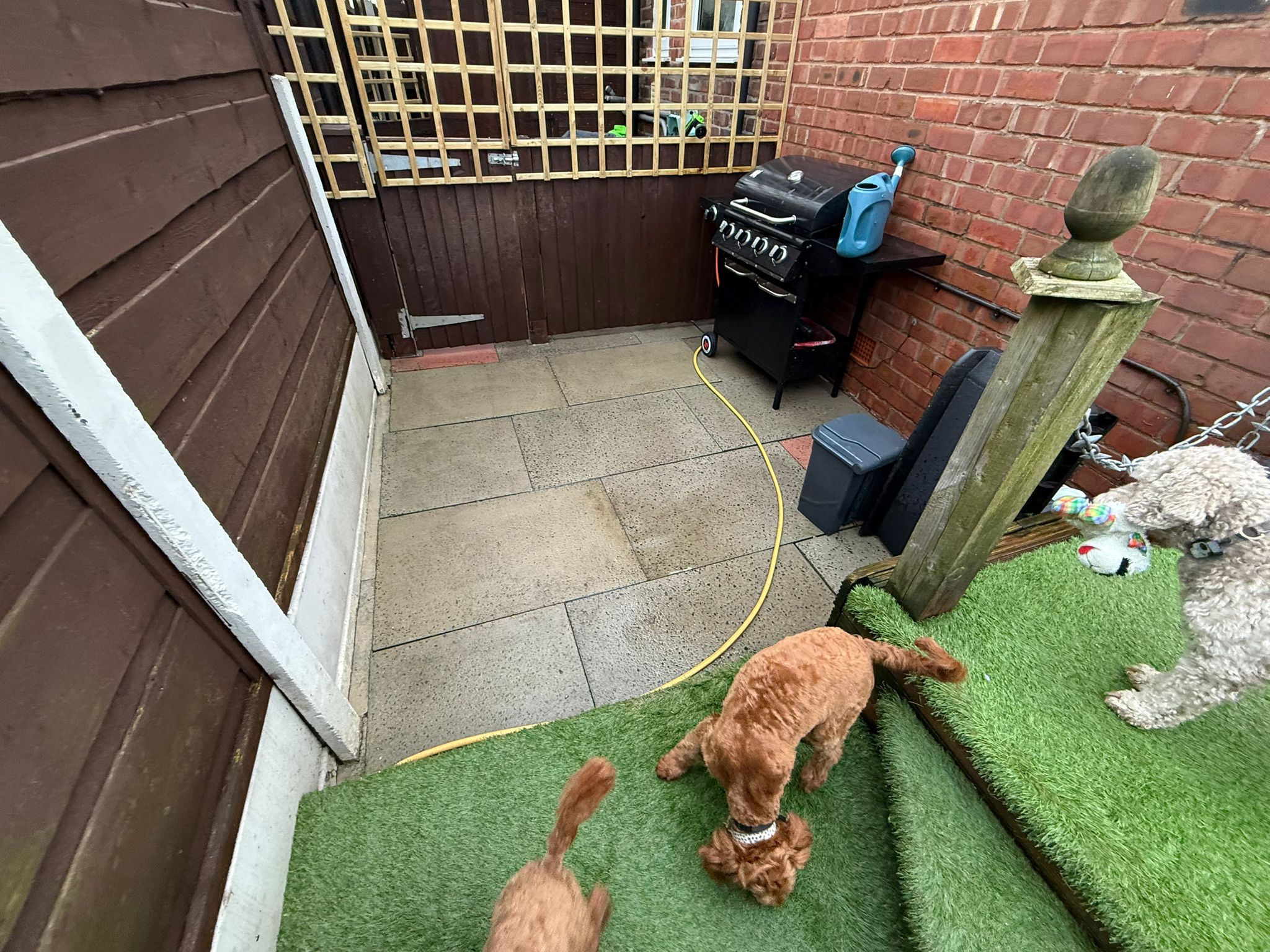 image-13
