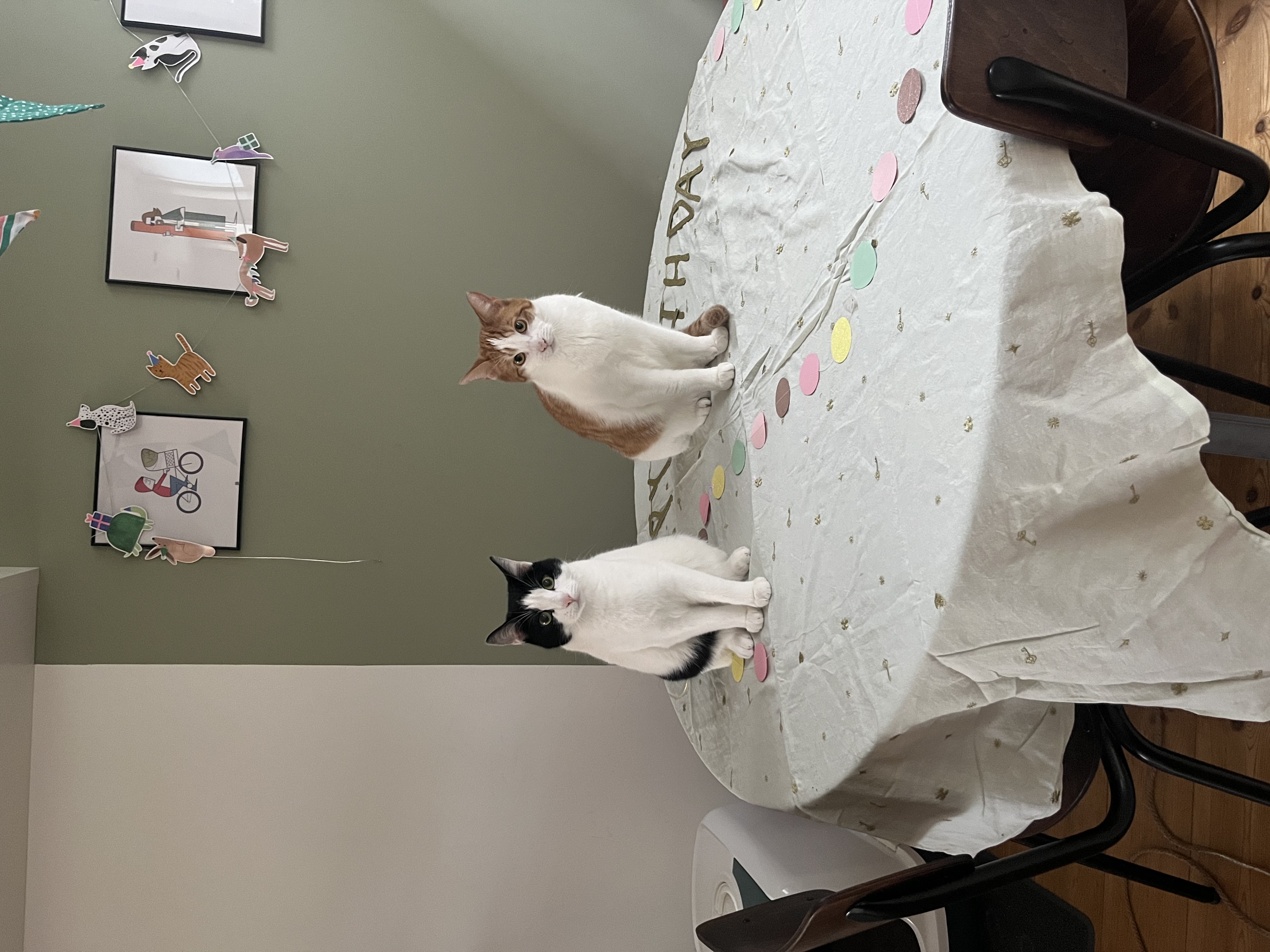 image-15