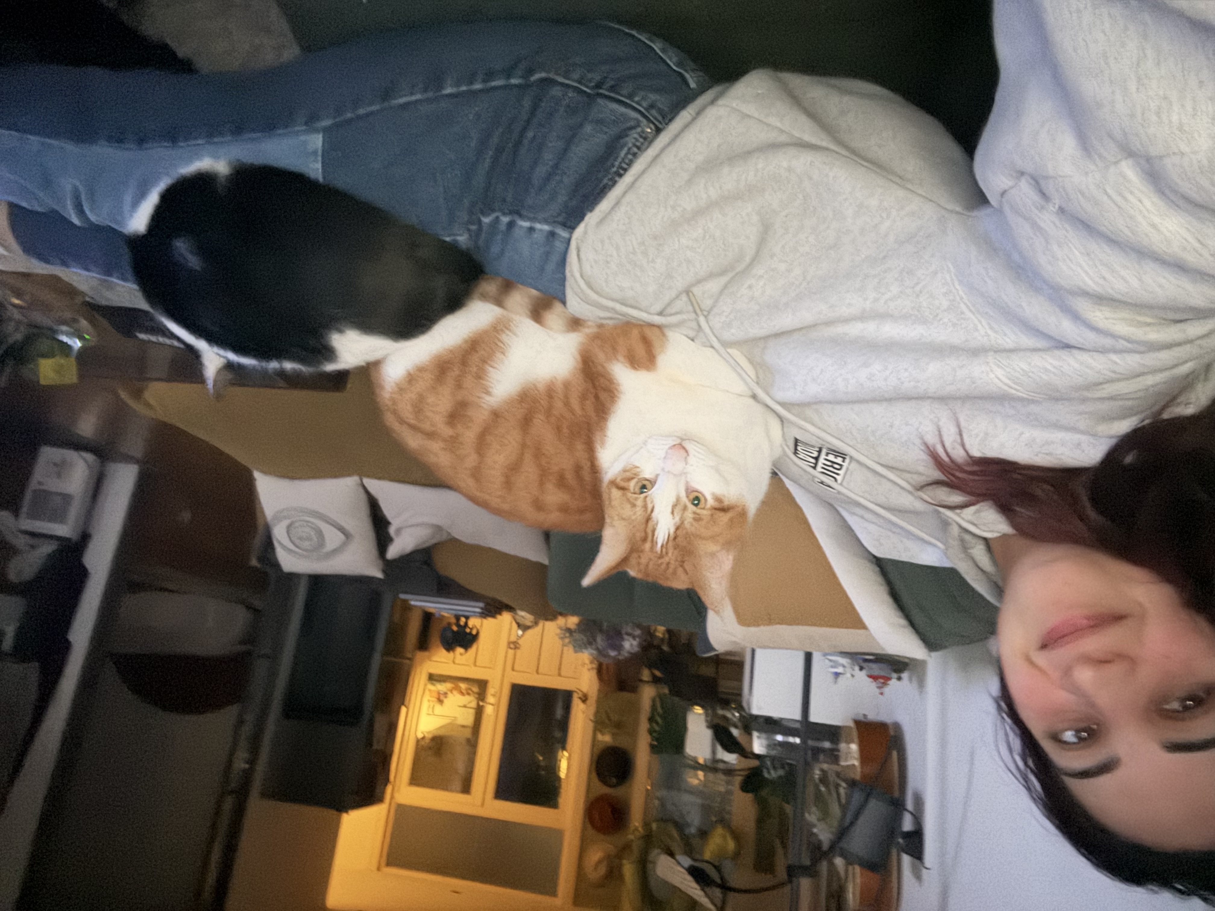 image-8