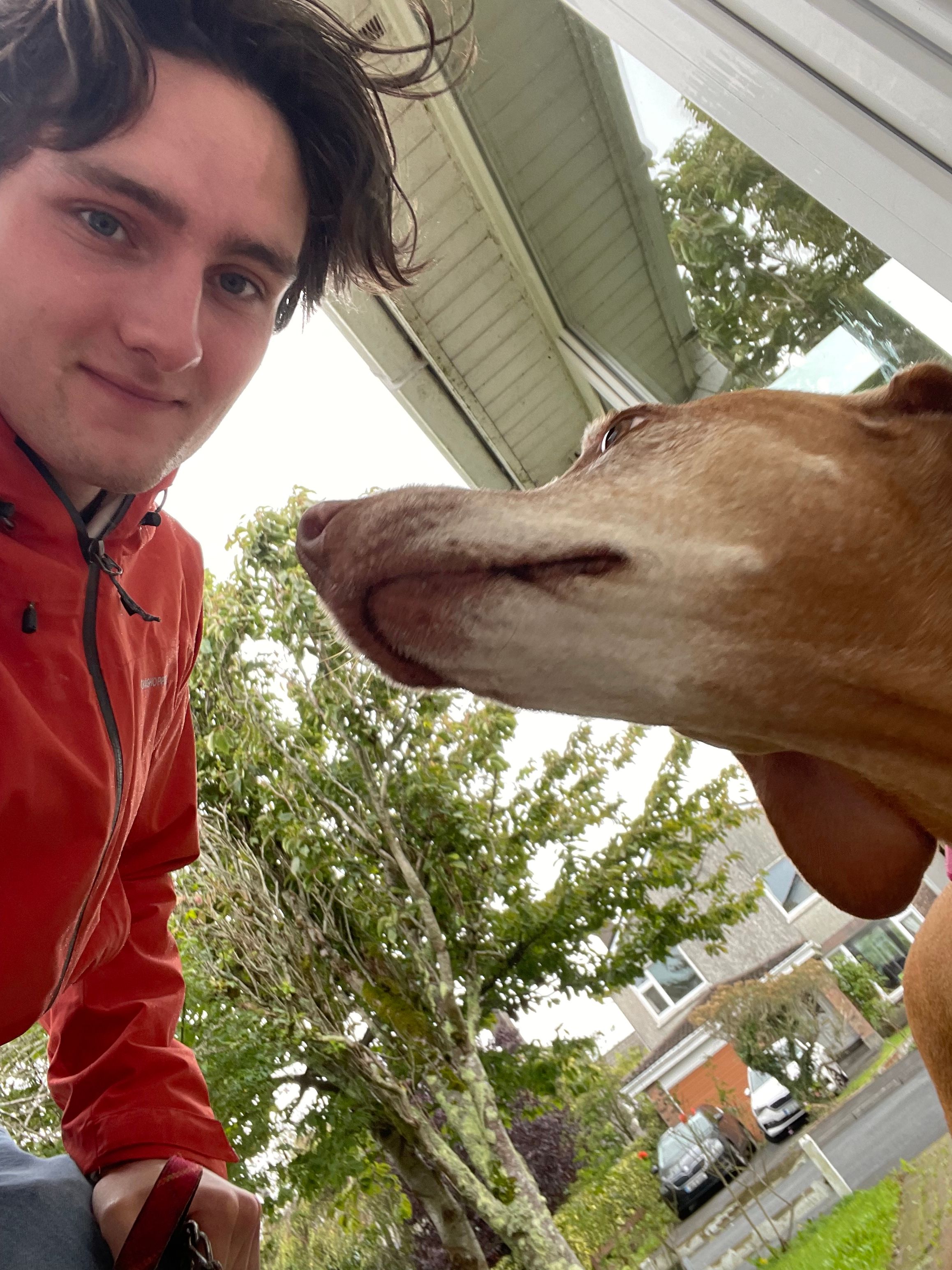 image-7