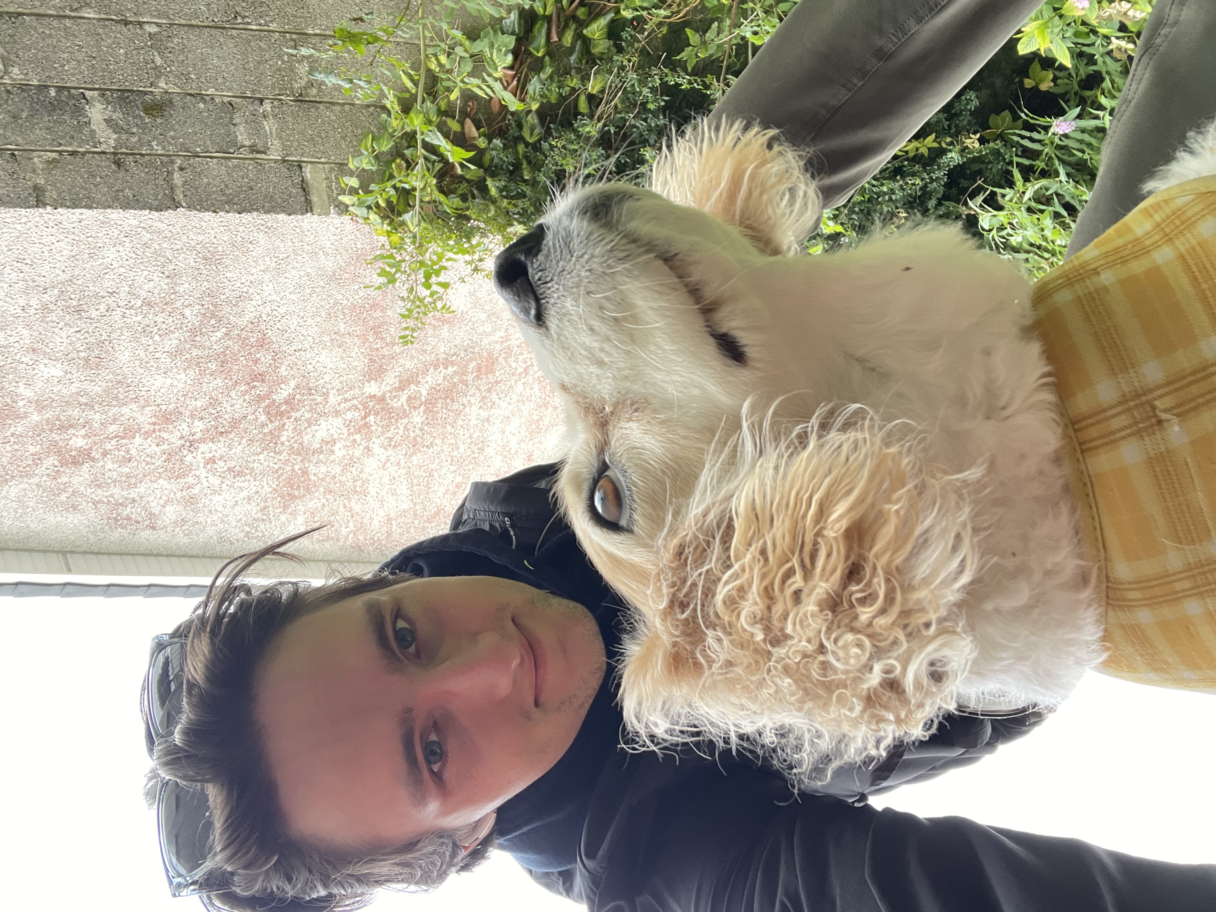 image-8