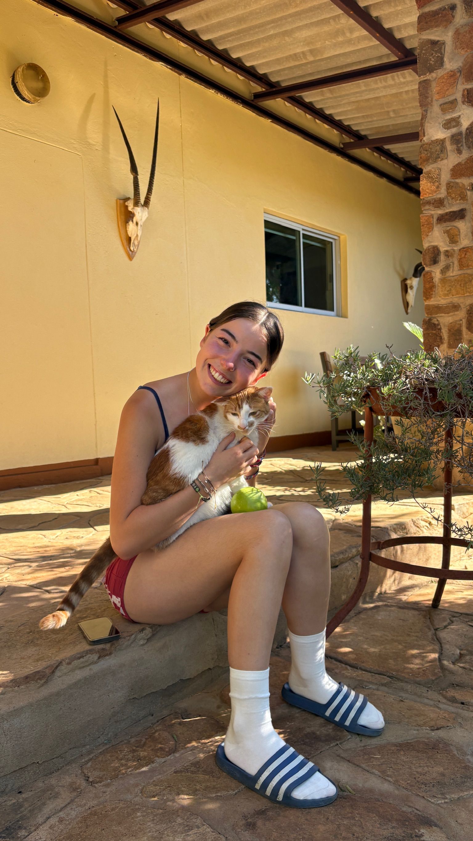 image-10