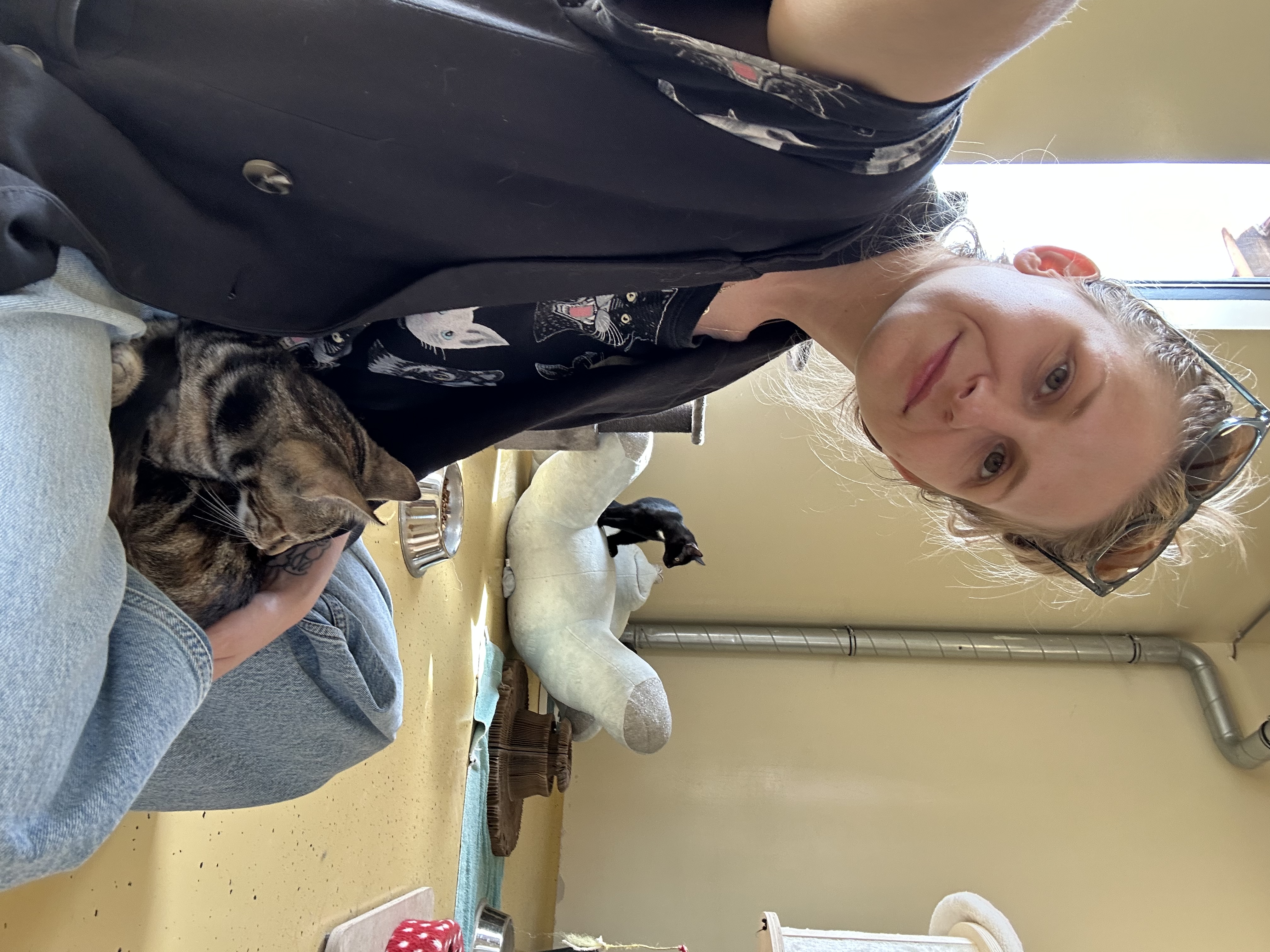 image-6