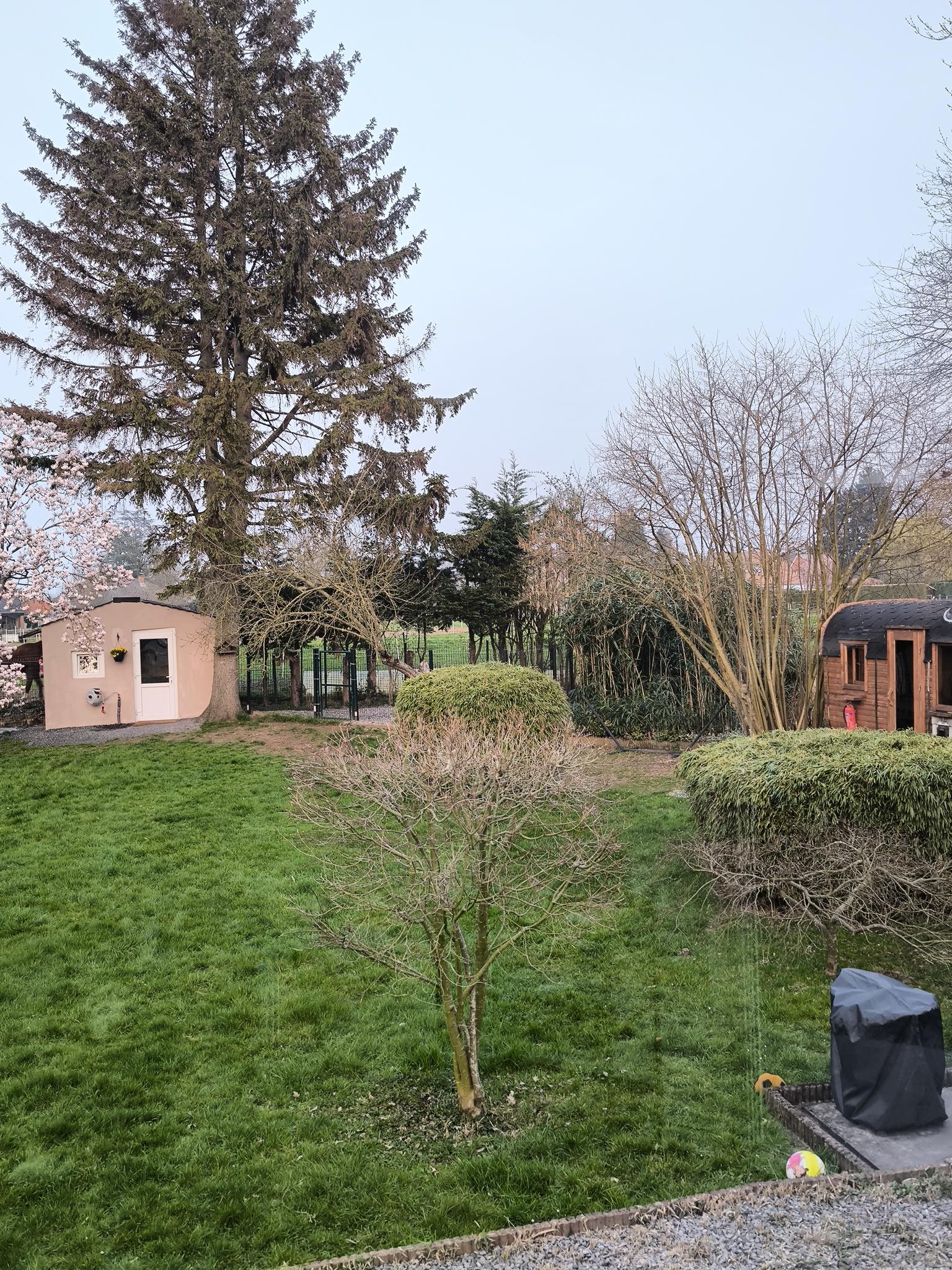 image-20