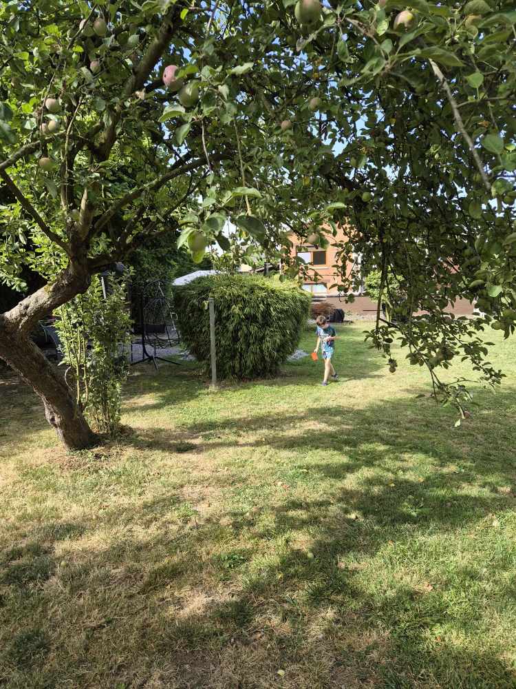 image-32