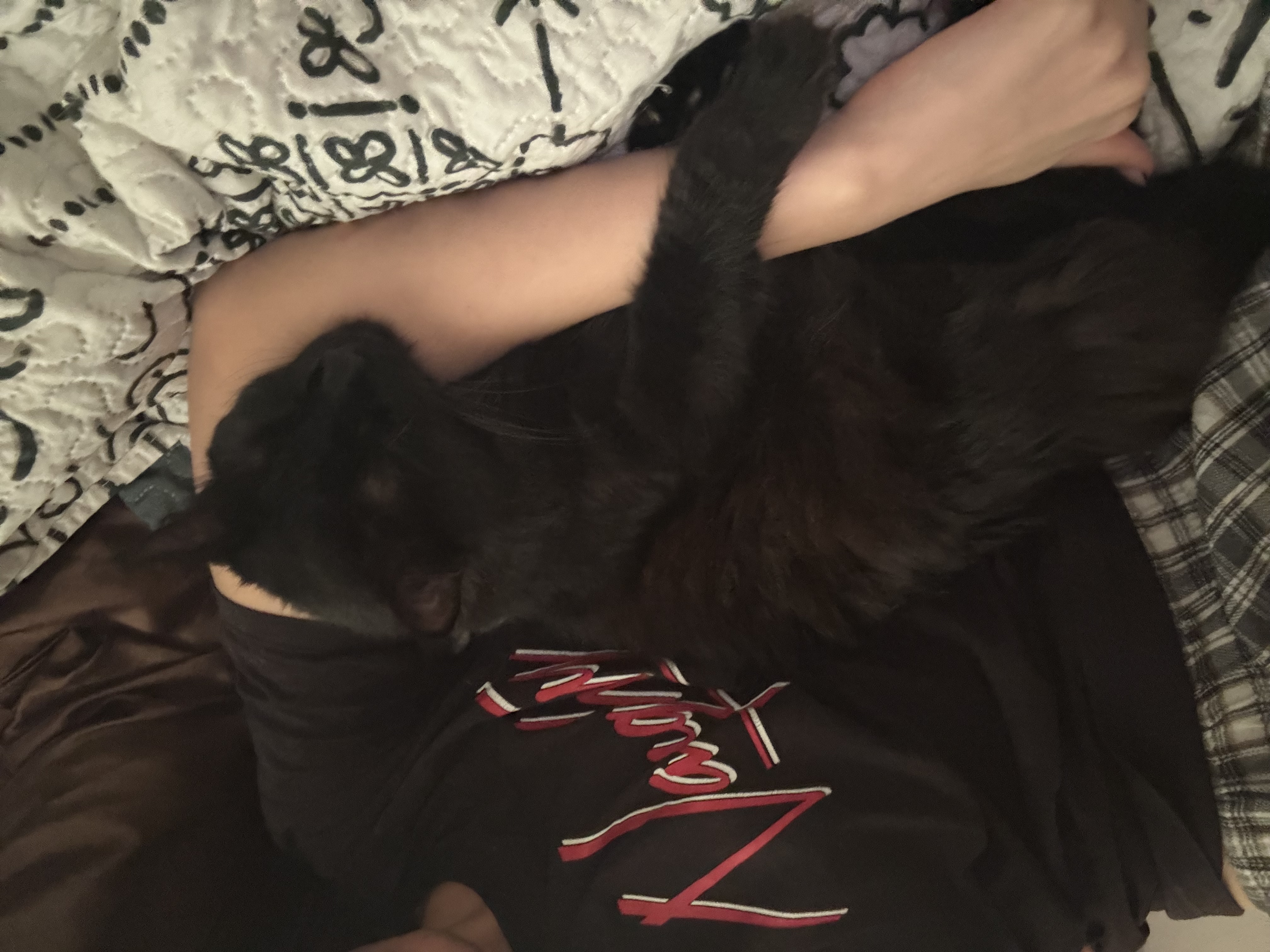 image-10