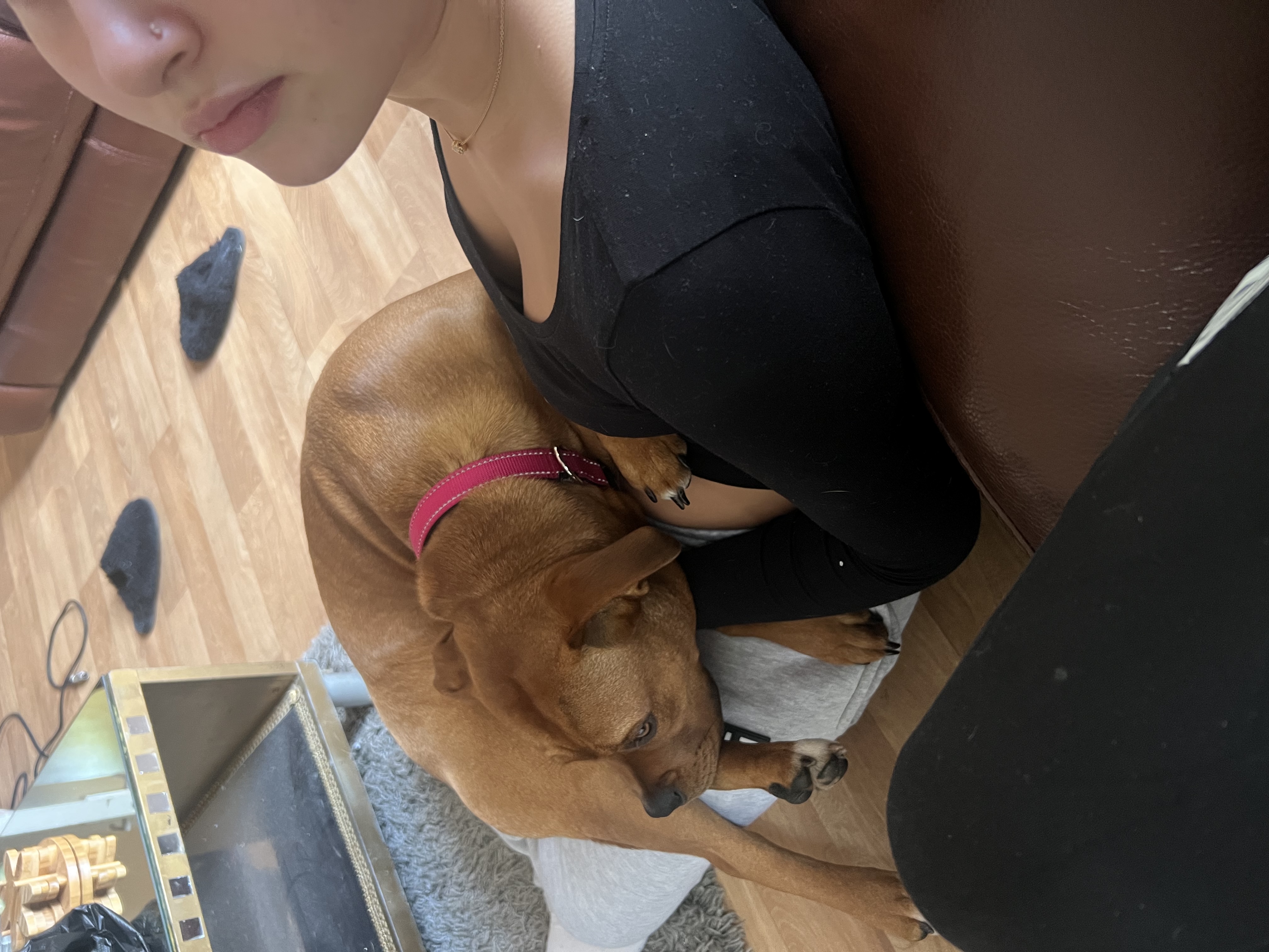 image-5