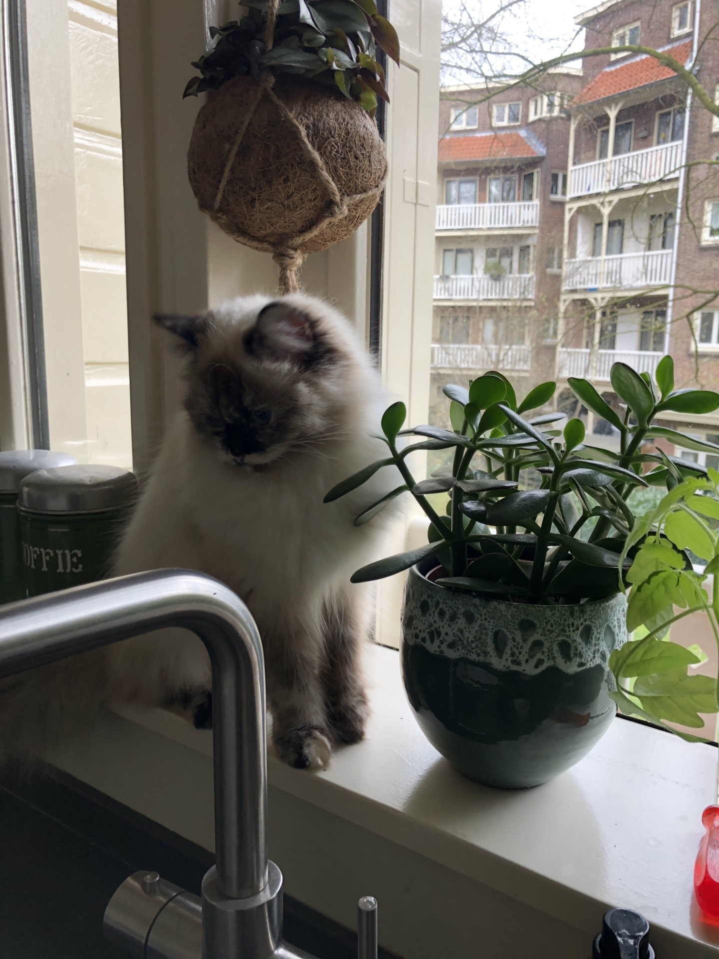 image-13